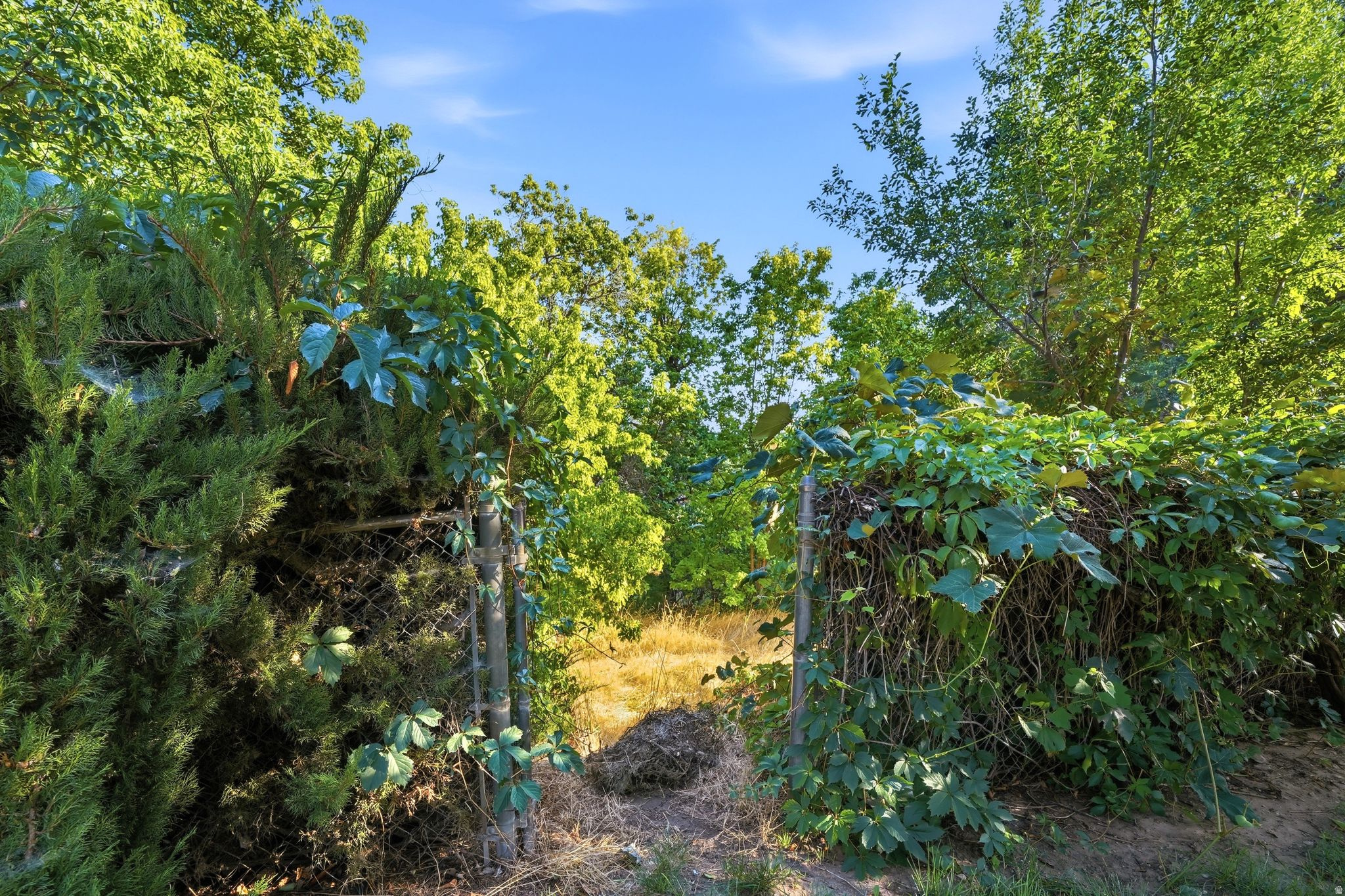 main property photo 49