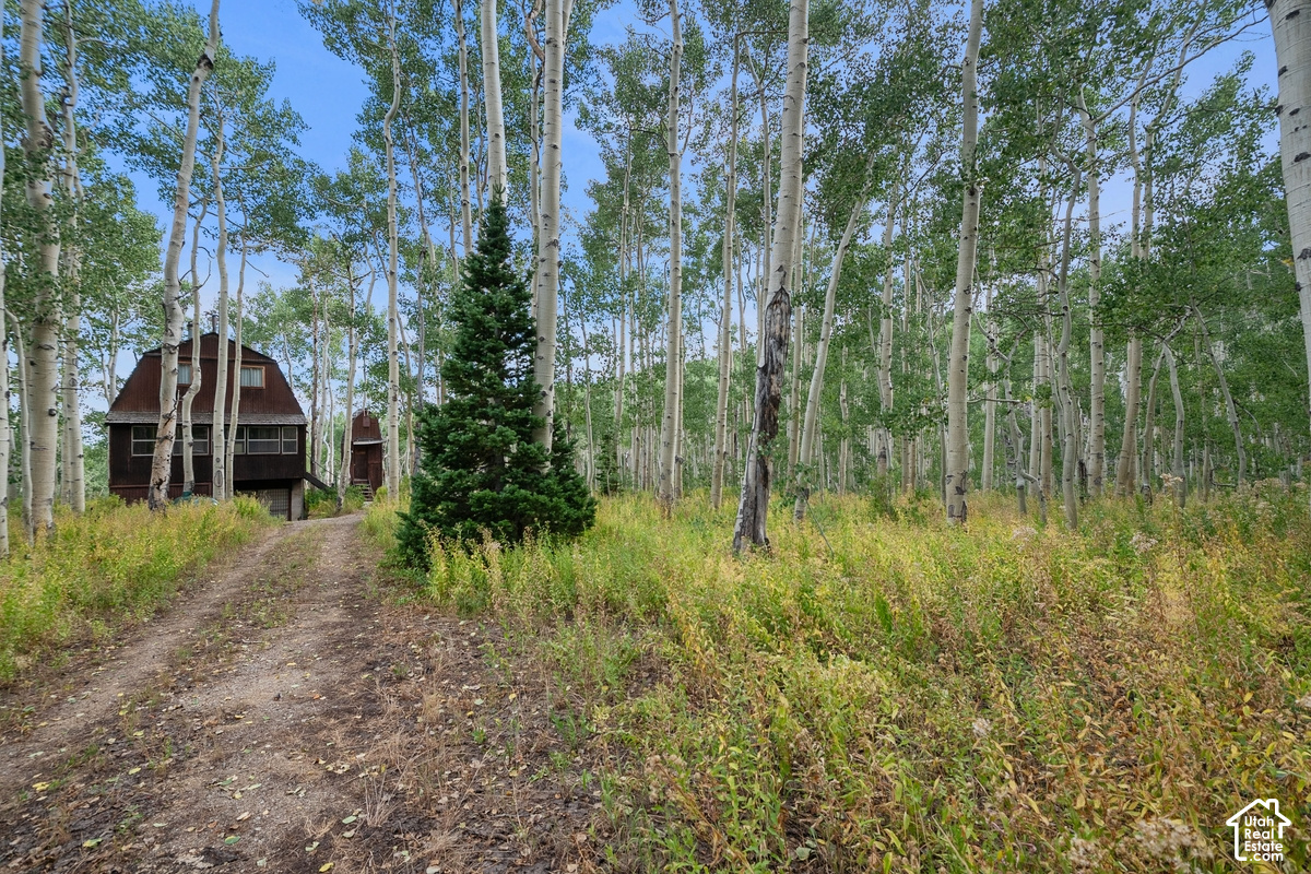 main property photo 29