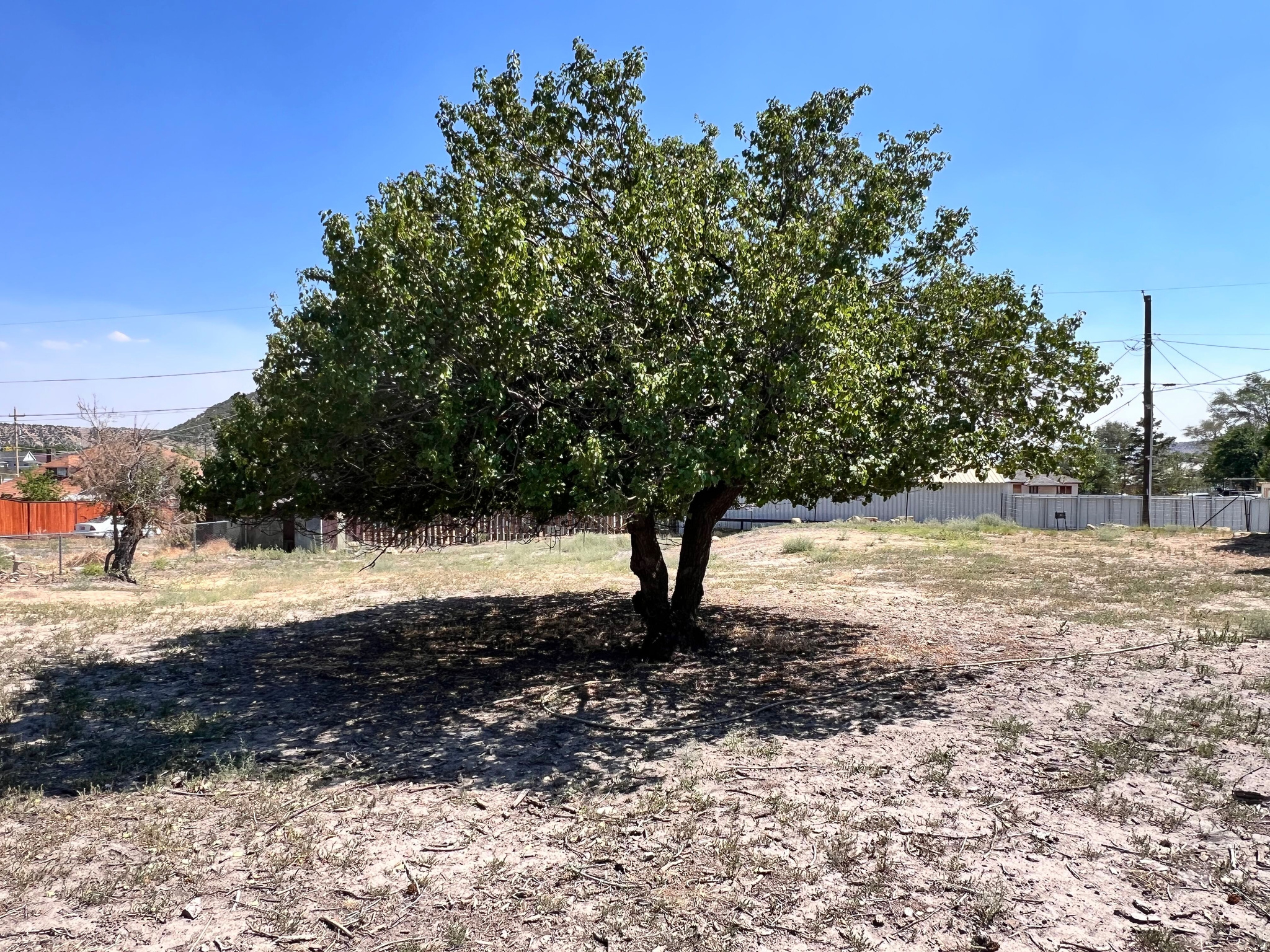 main property photo 10