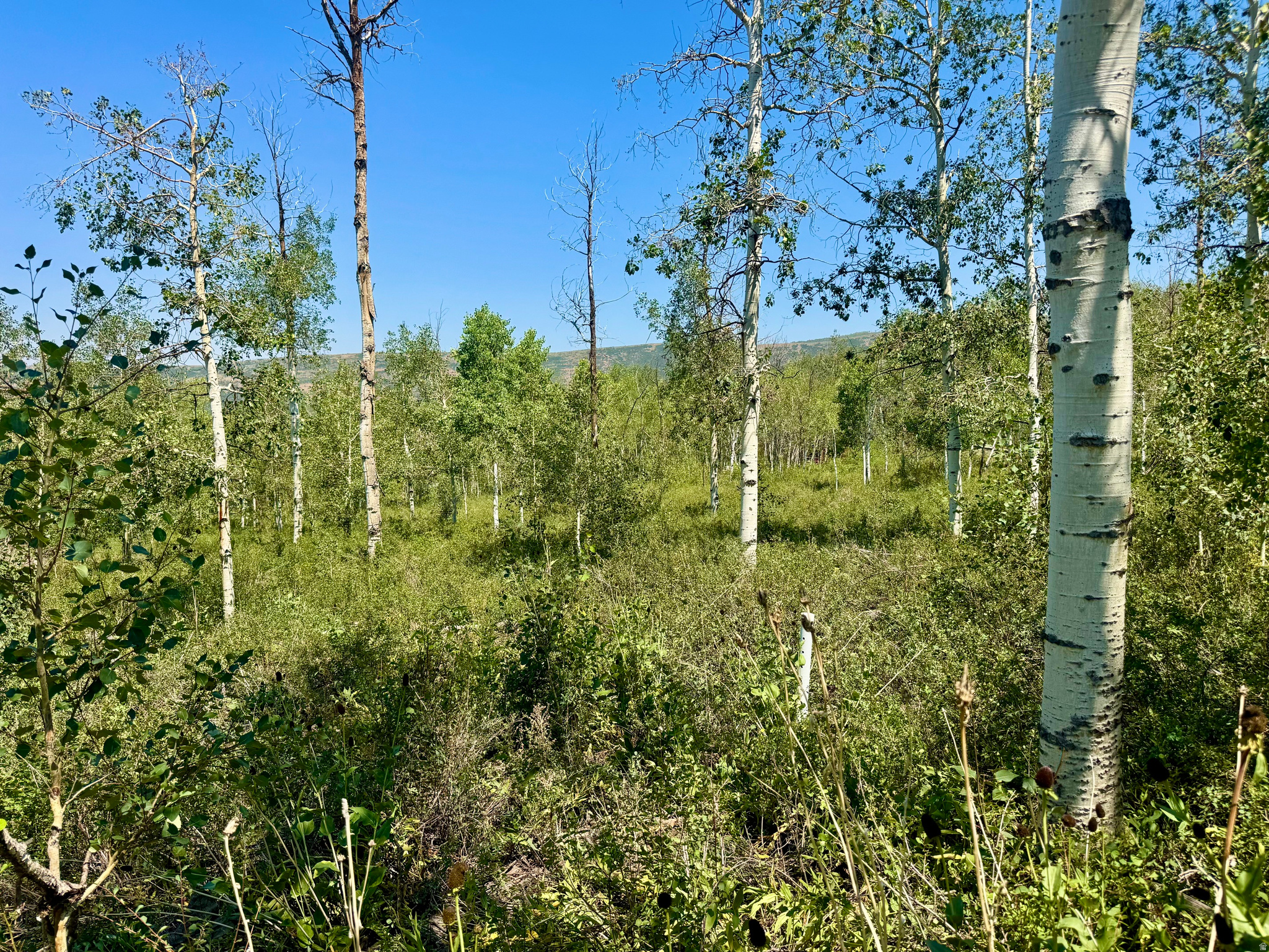main property photo 11