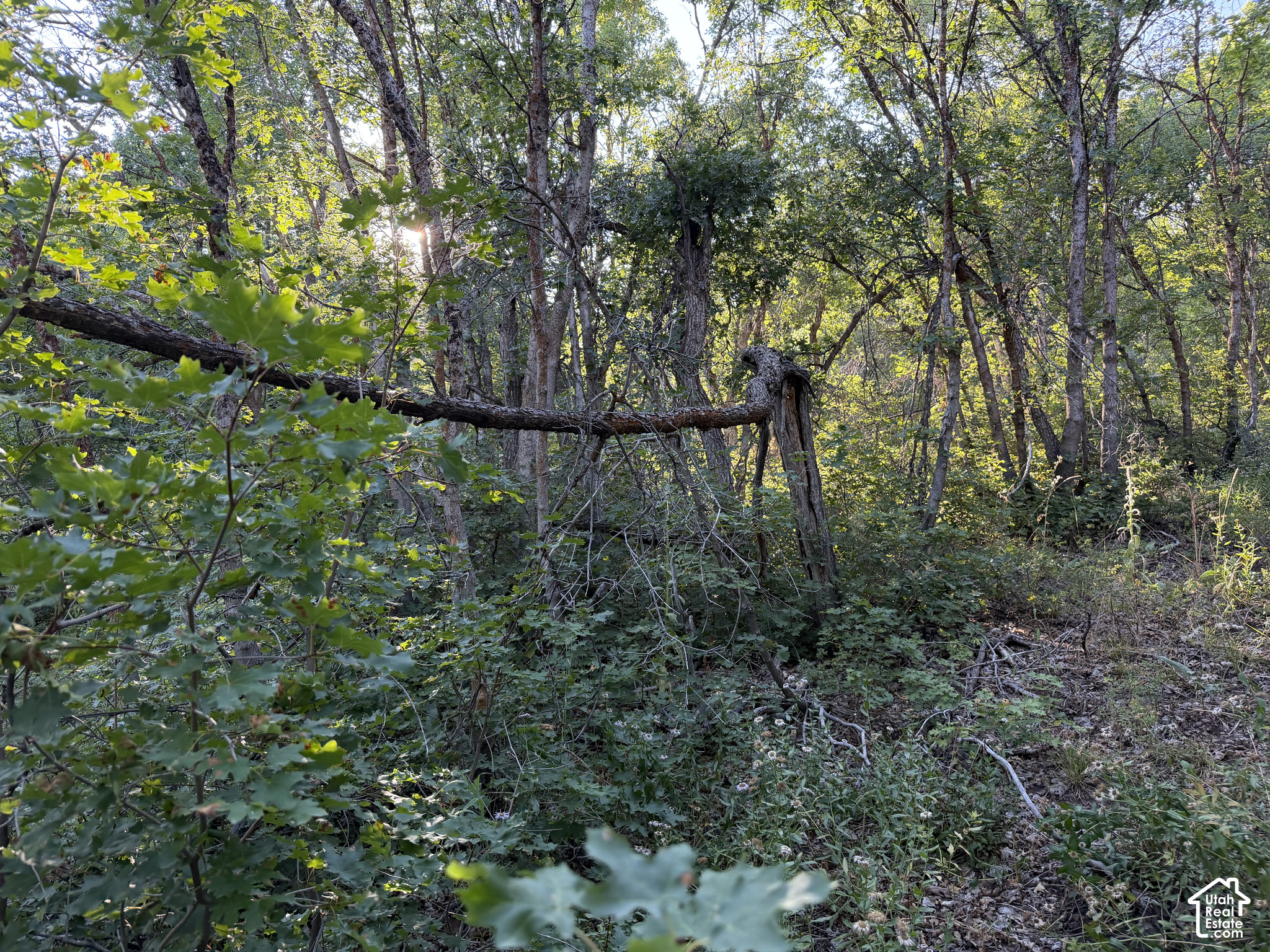 main property photo 18