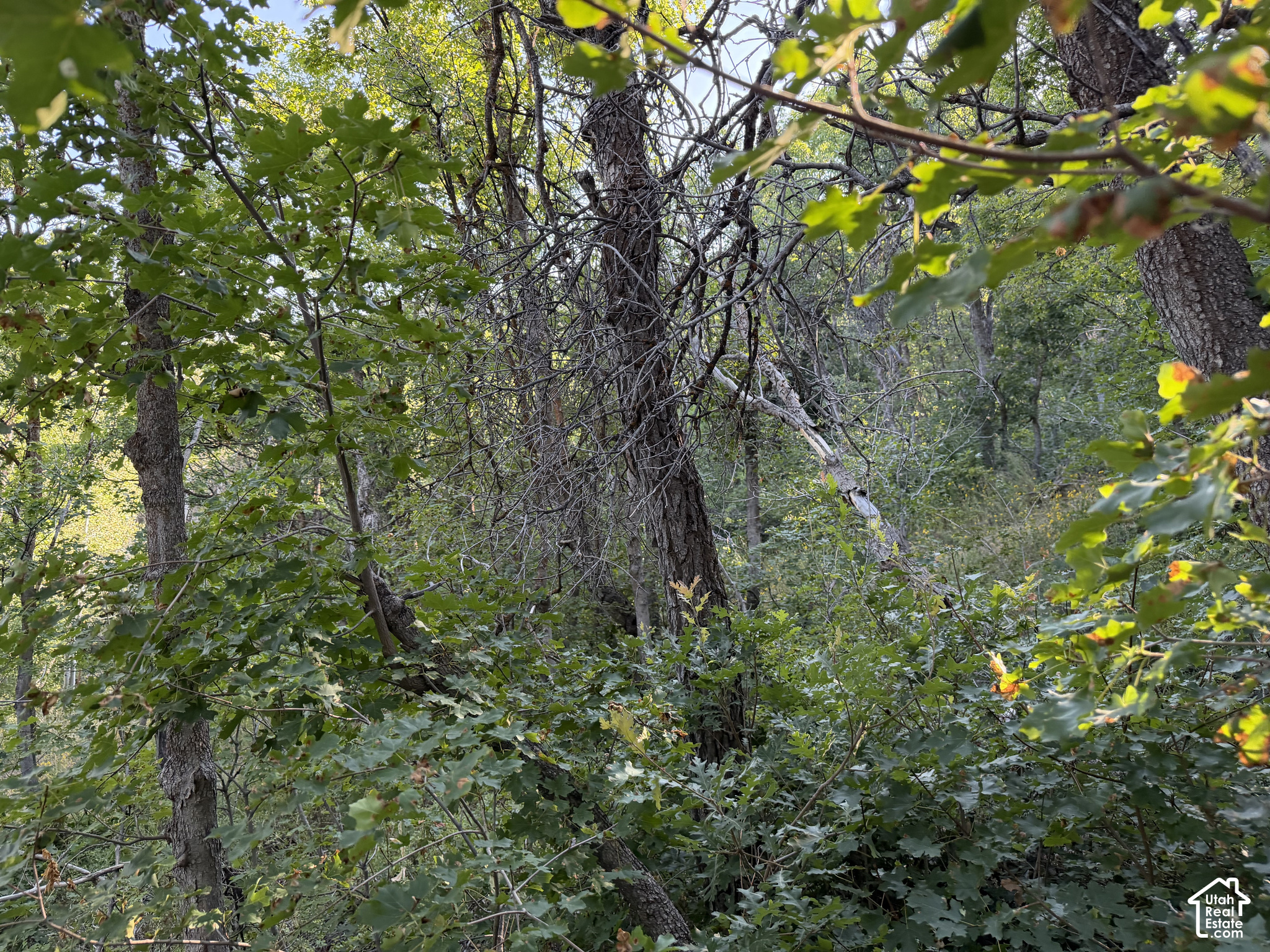 main property photo 20