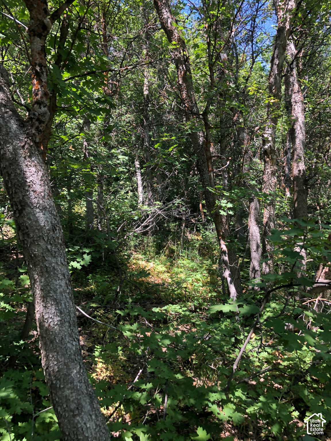 main property photo 9