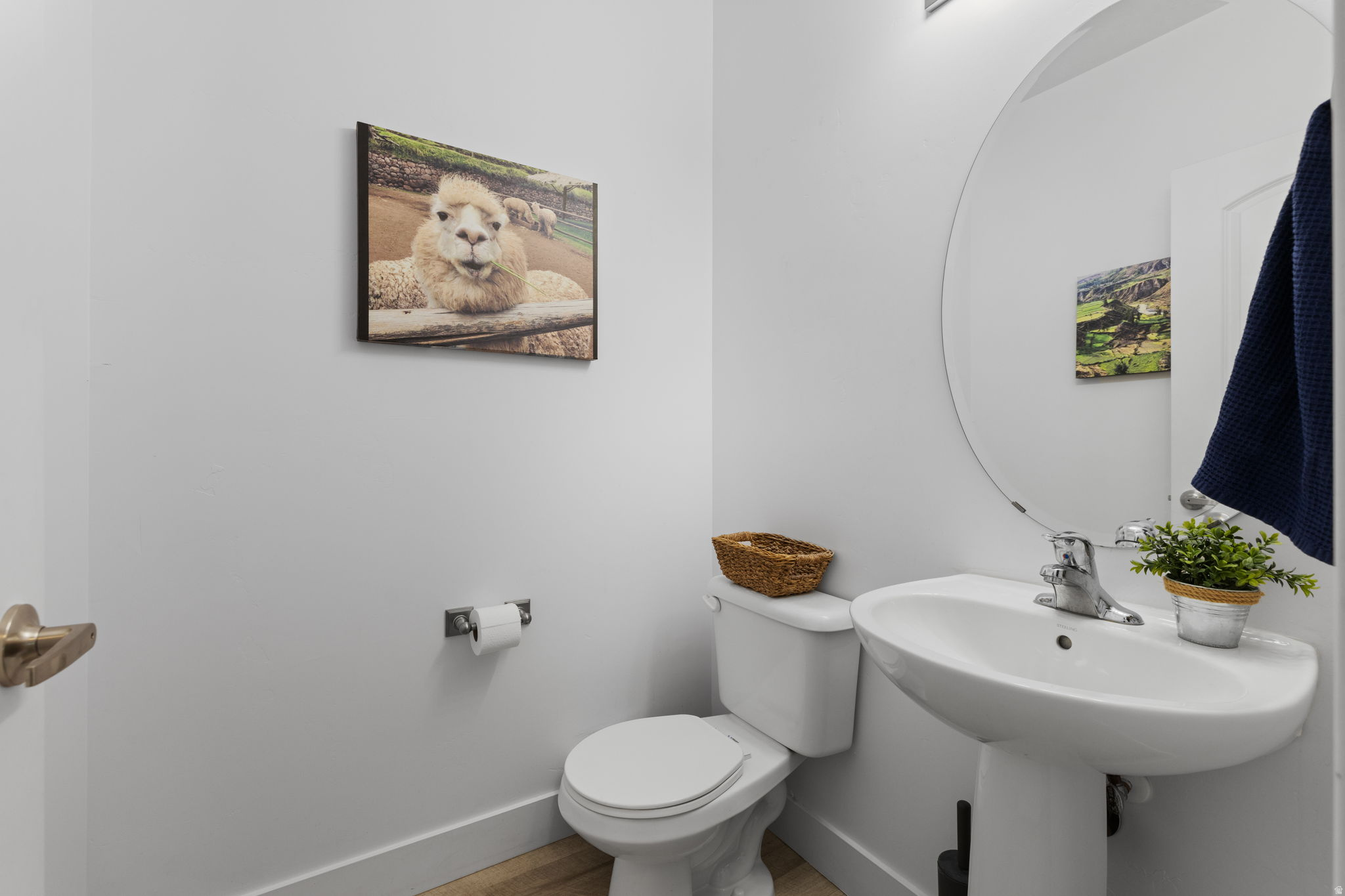 main property photo 13