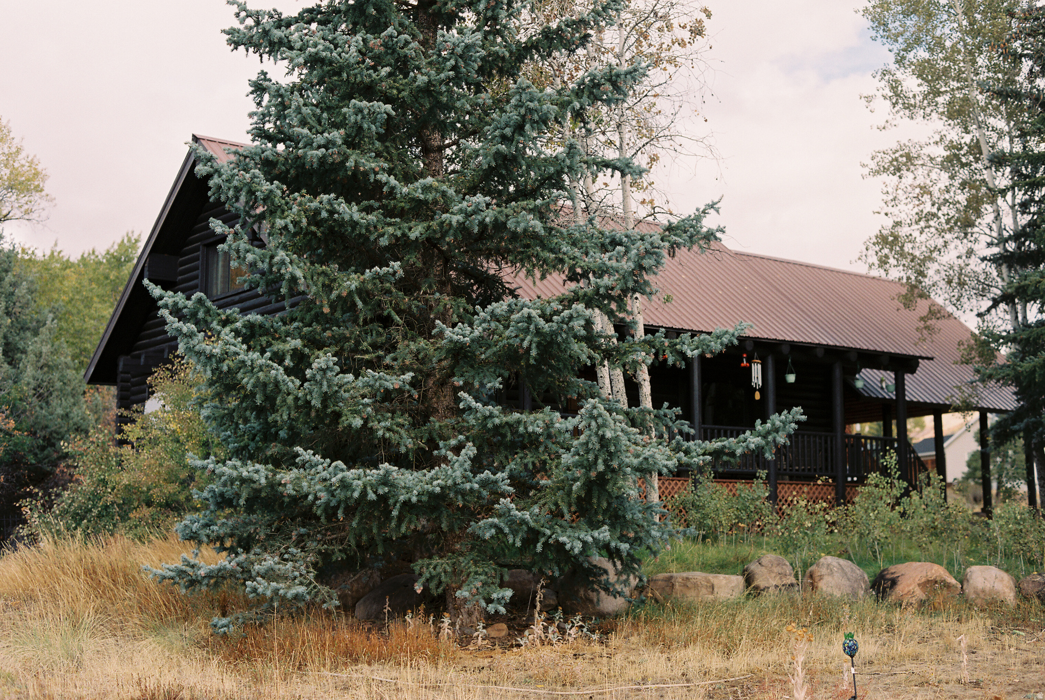 main property photo 41