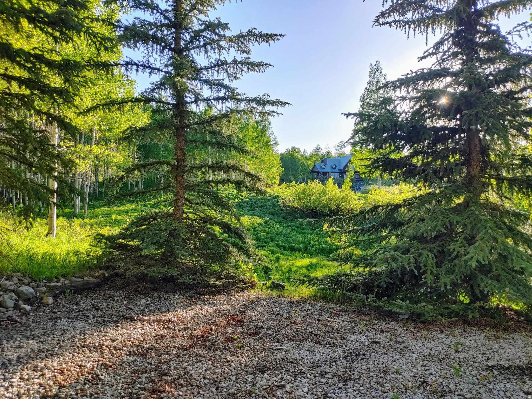 main property photo 31