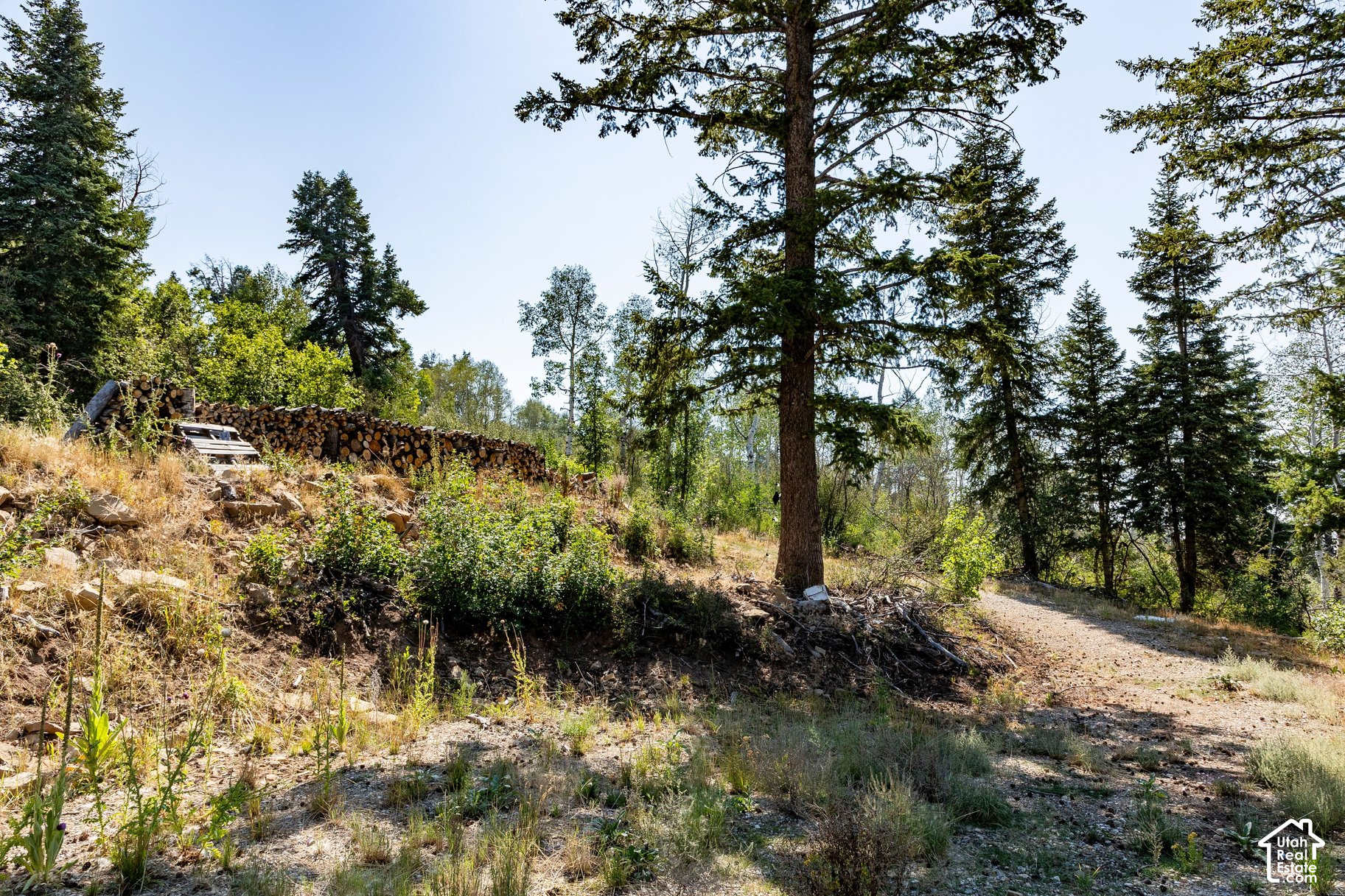 main property photo 13