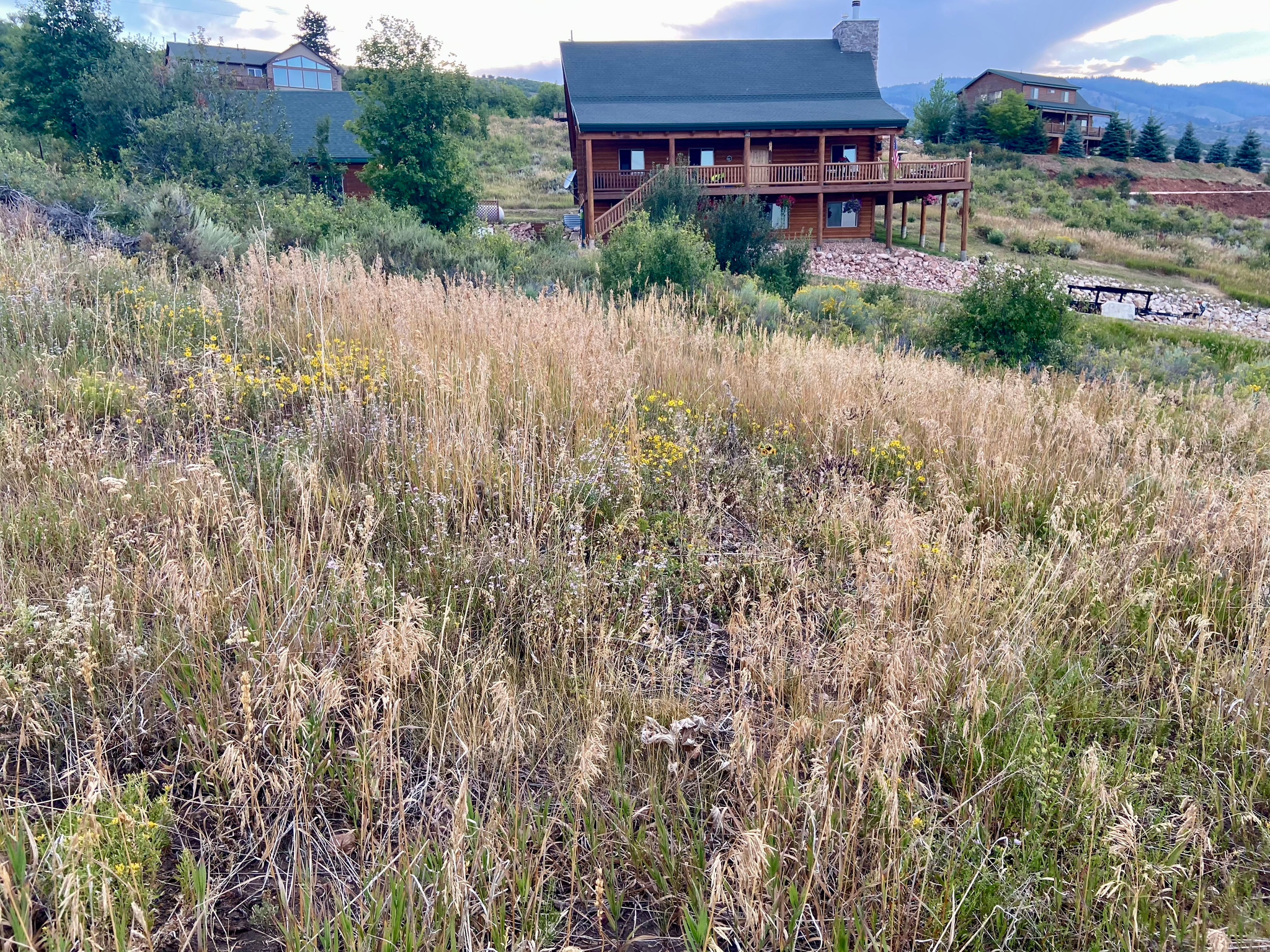main property photo 5