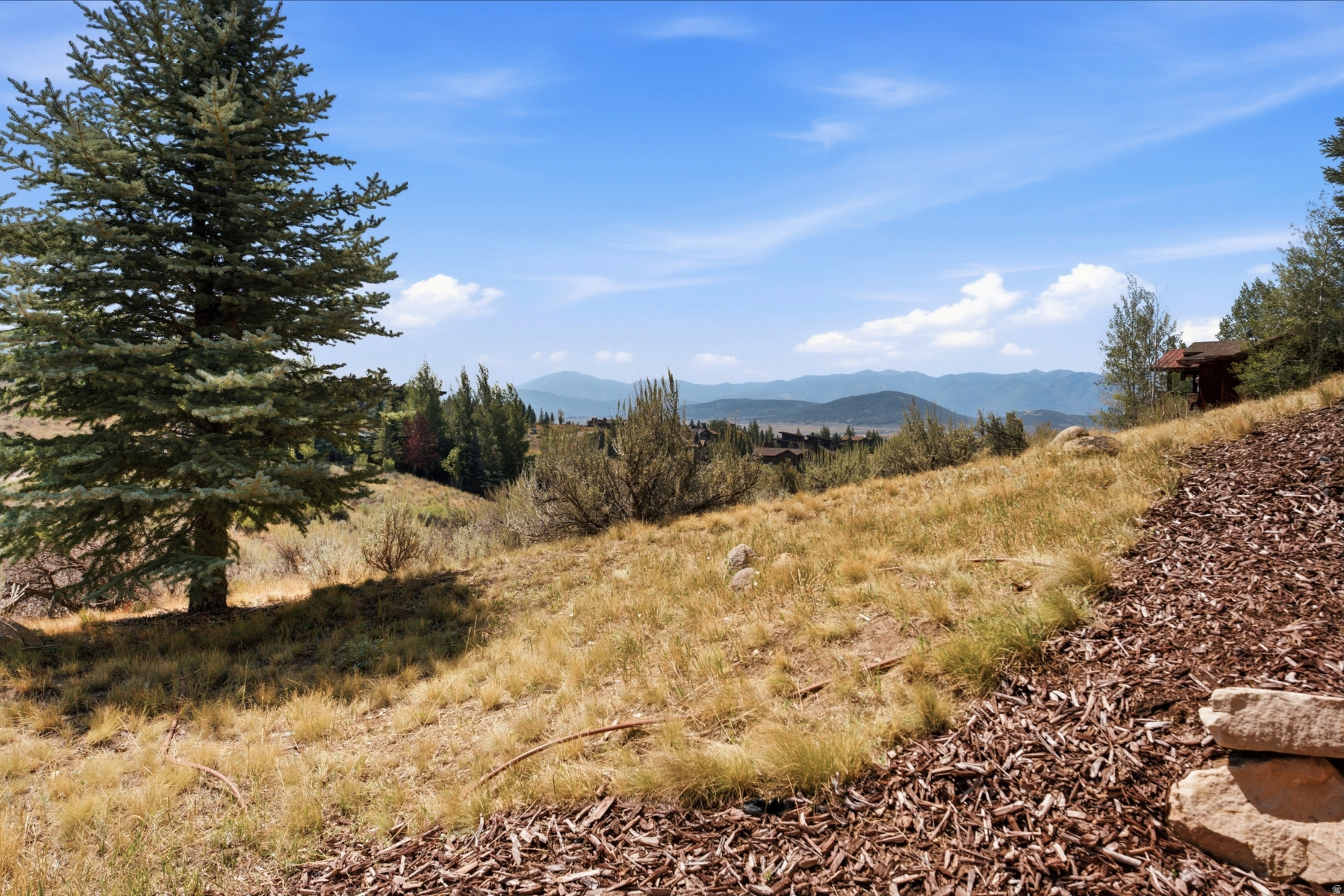 main property photo 62