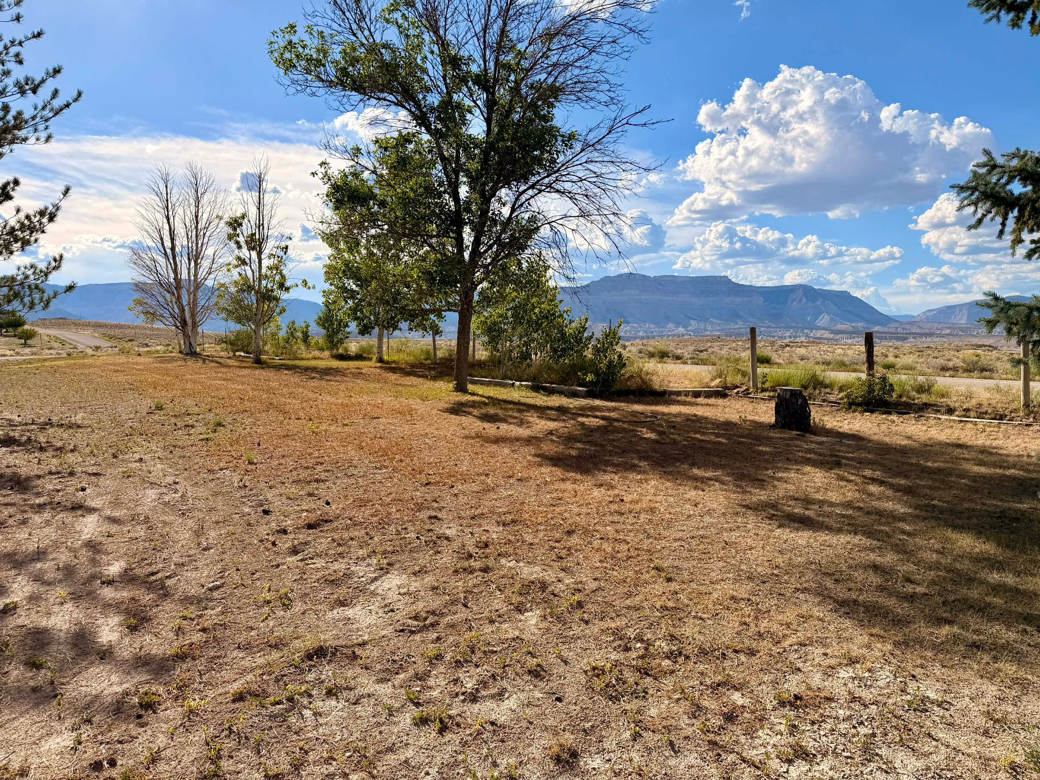 main property photo 42