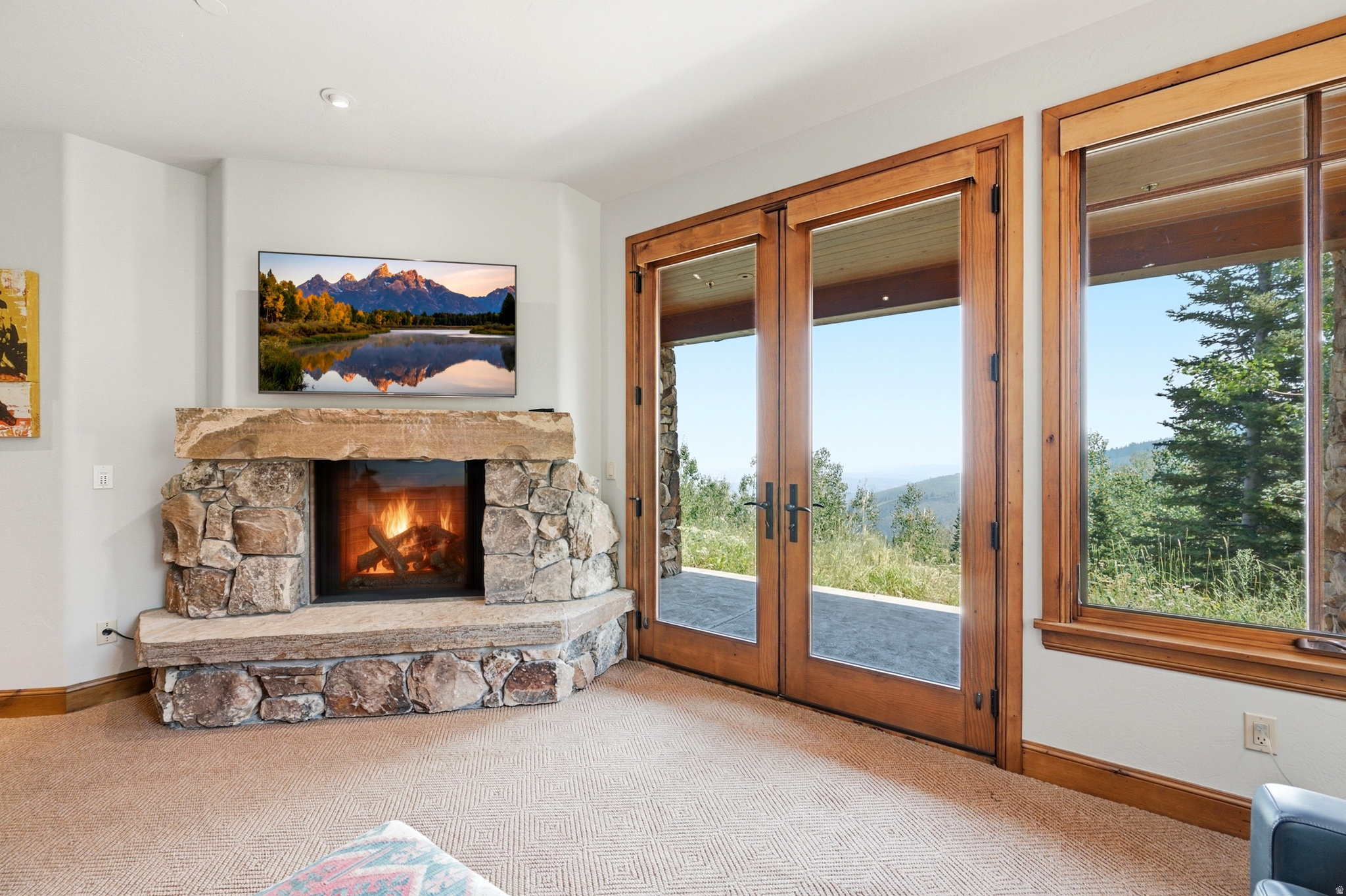 main property photo 54