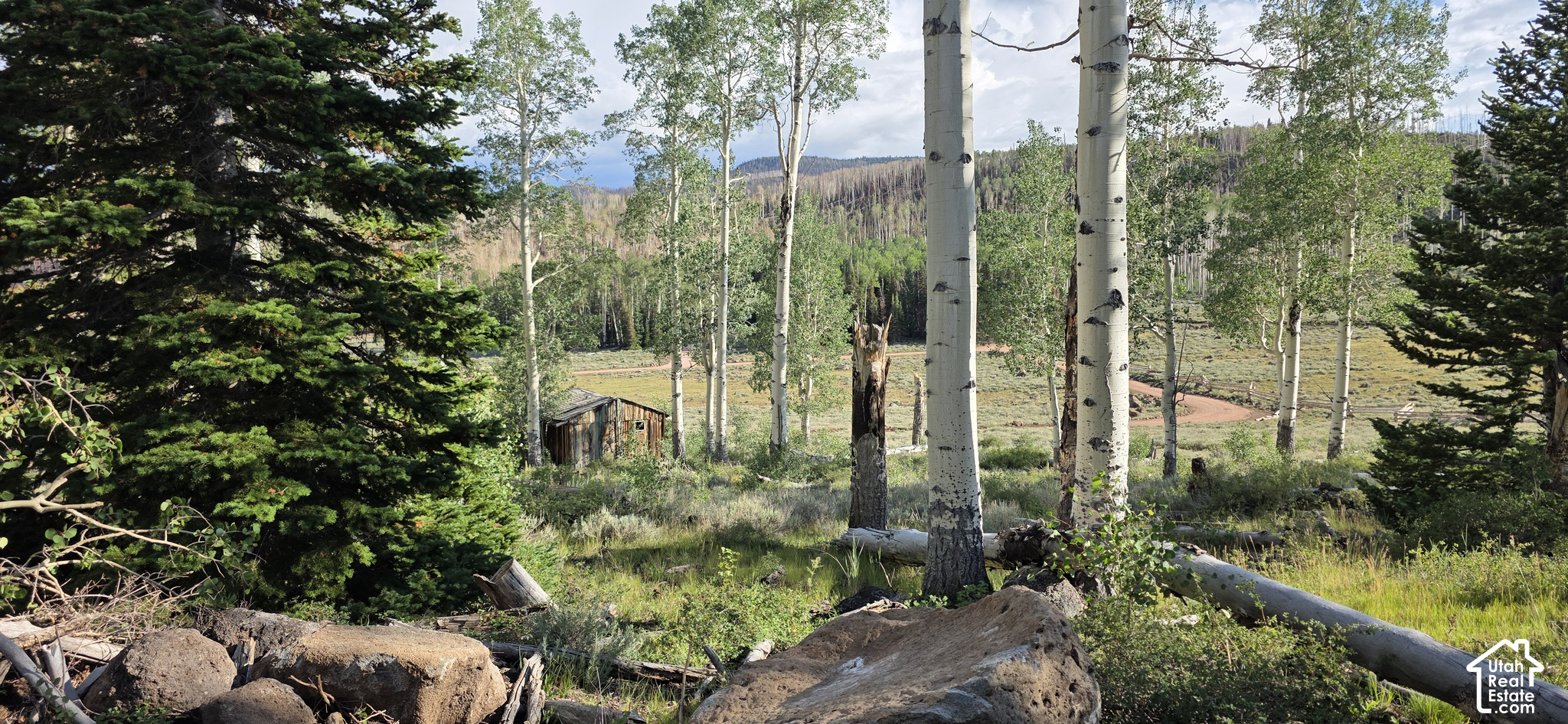 main property photo 4