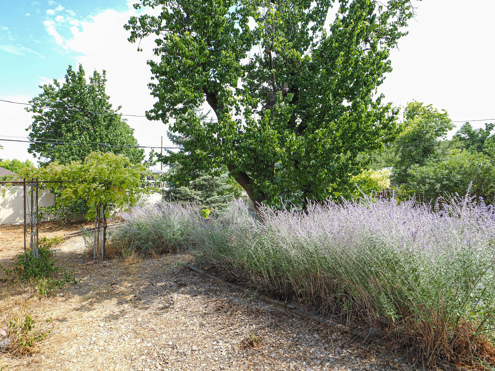 main property photo 64