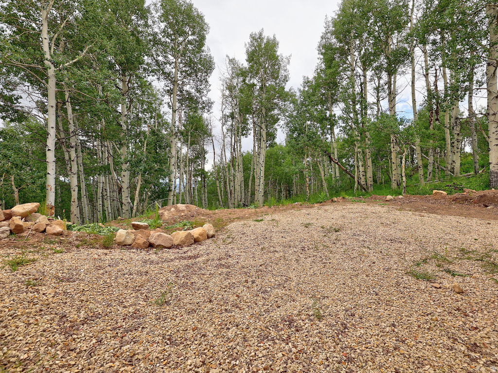 main property photo 63