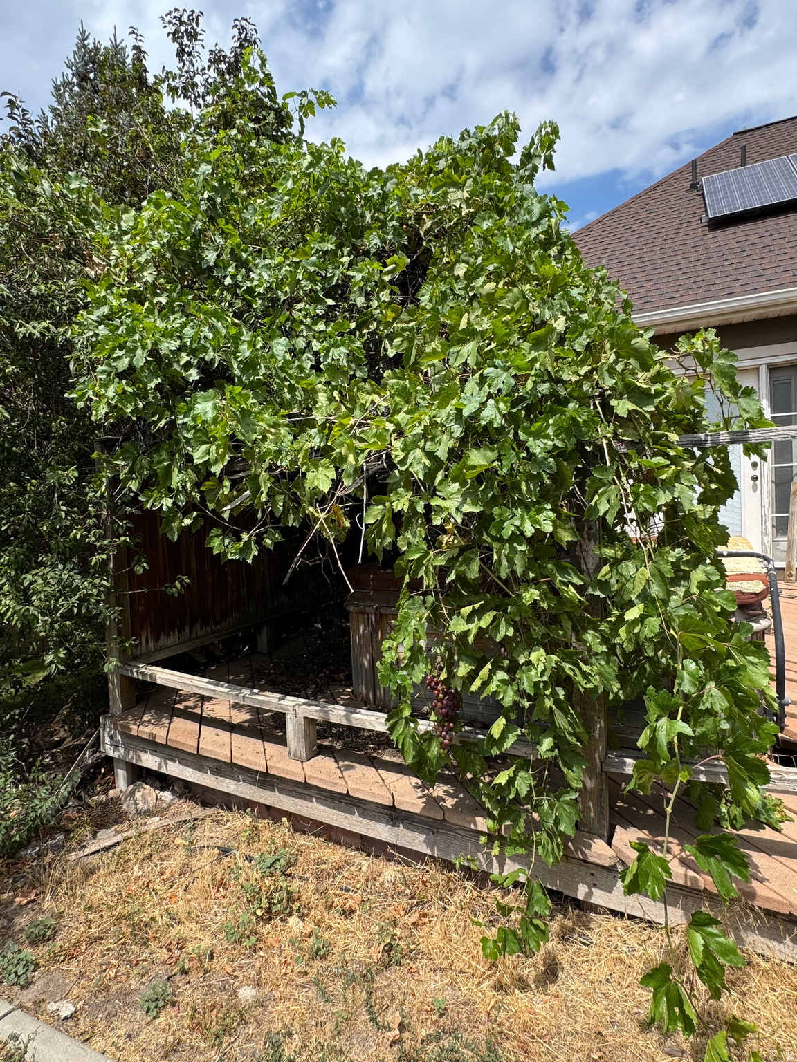 main property photo 21