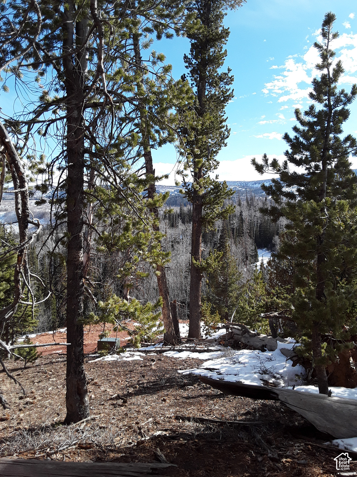 main property photo 13