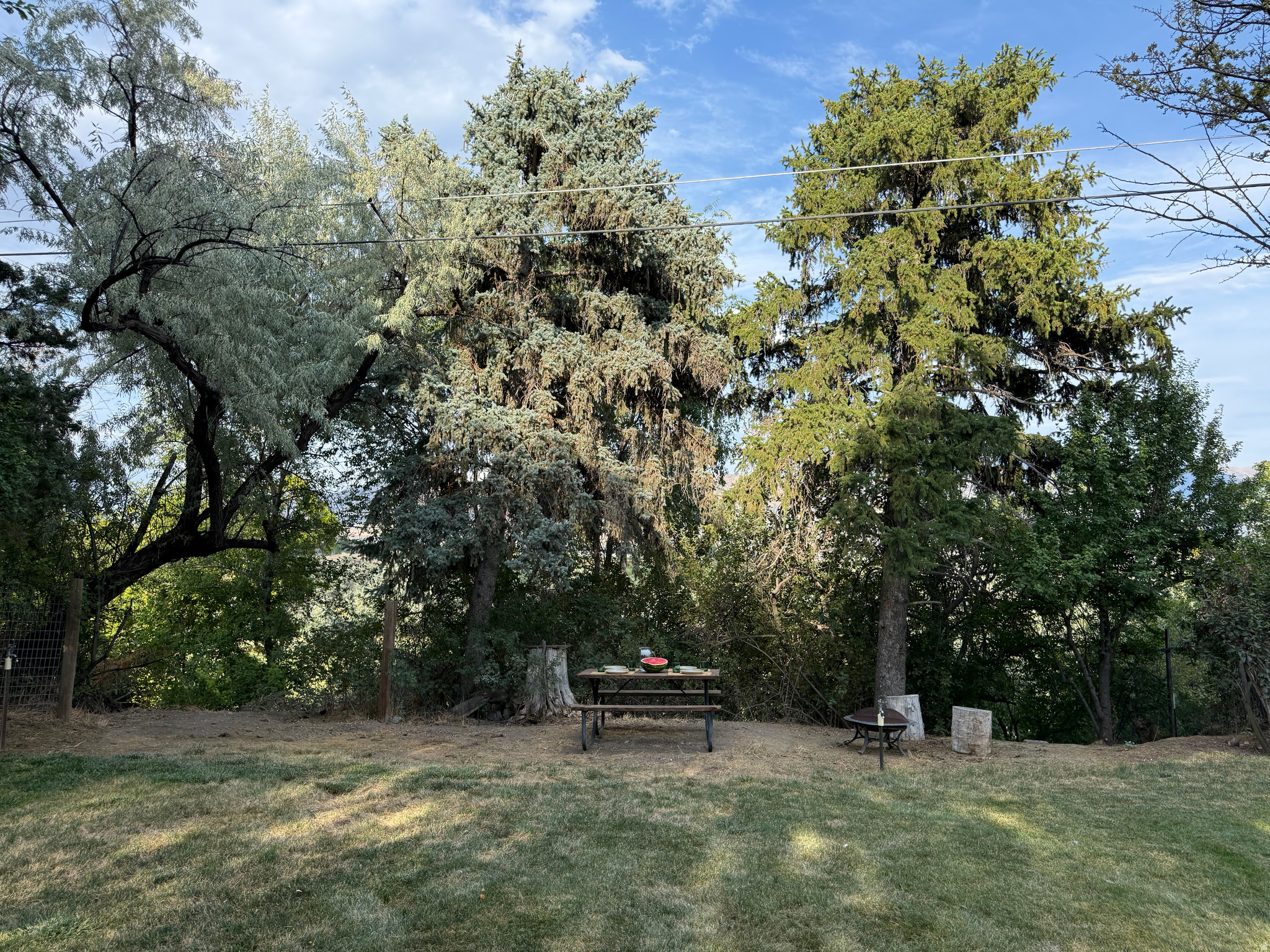 main property photo 15