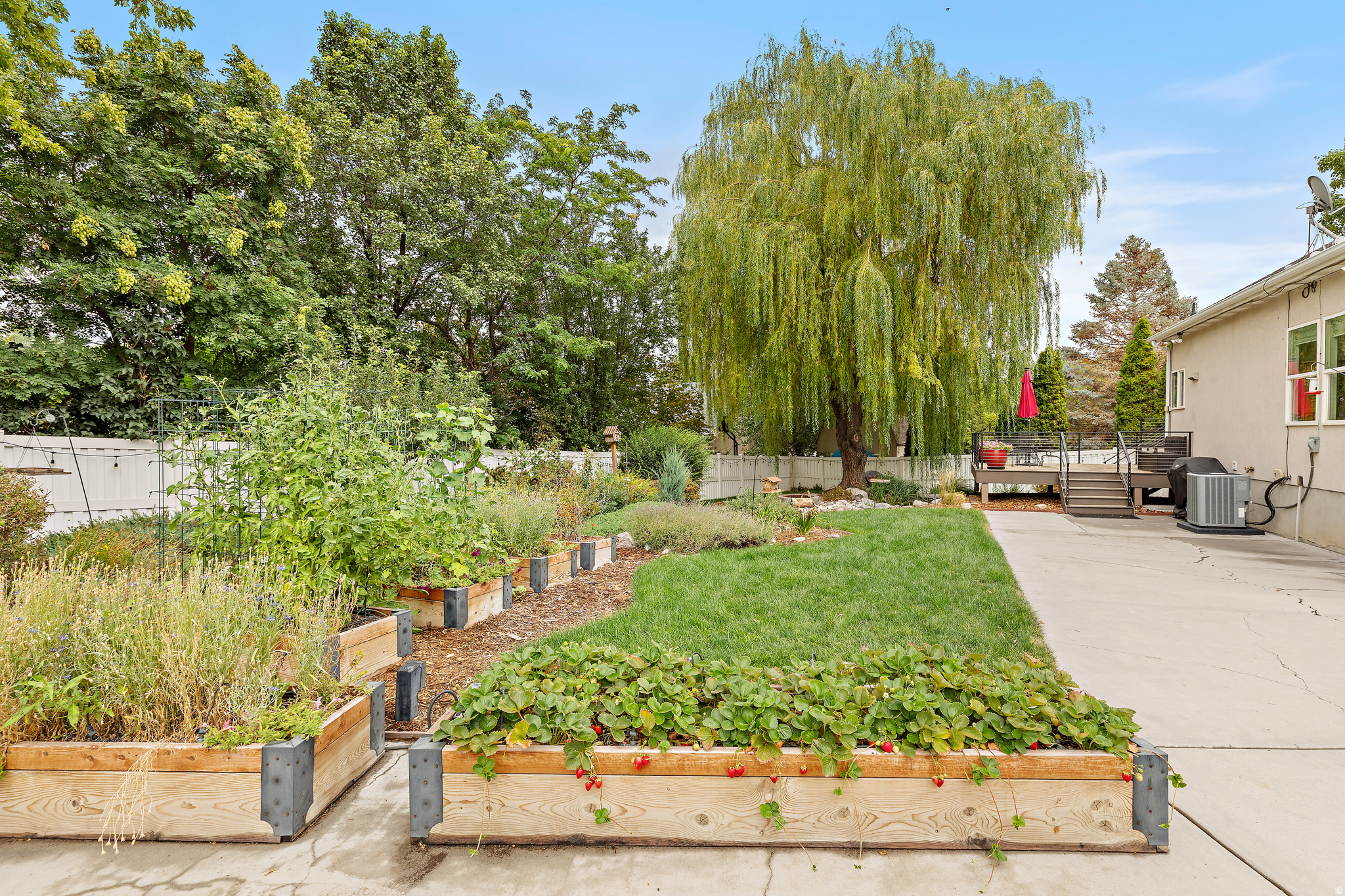 main property photo 40