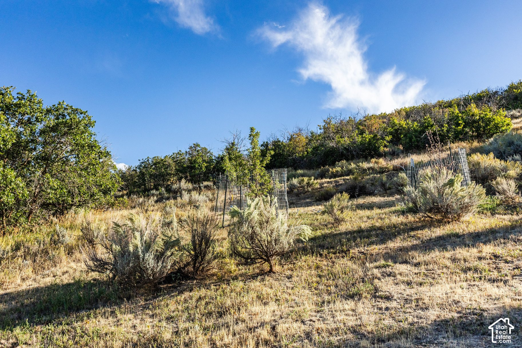 main property photo 103