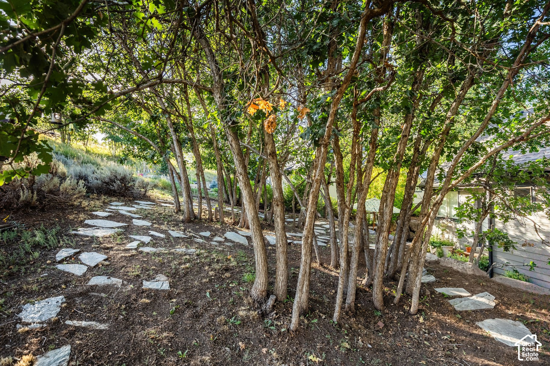 main property photo 106
