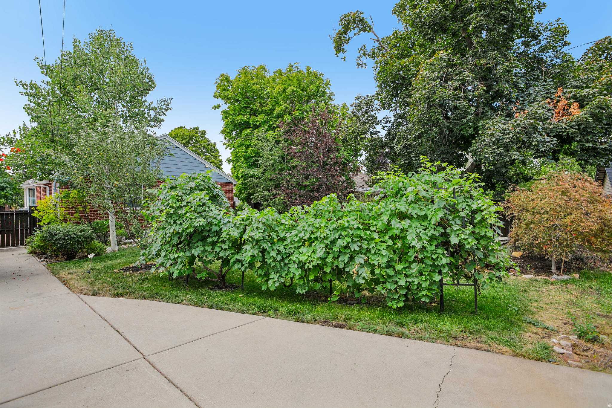 main property photo 36