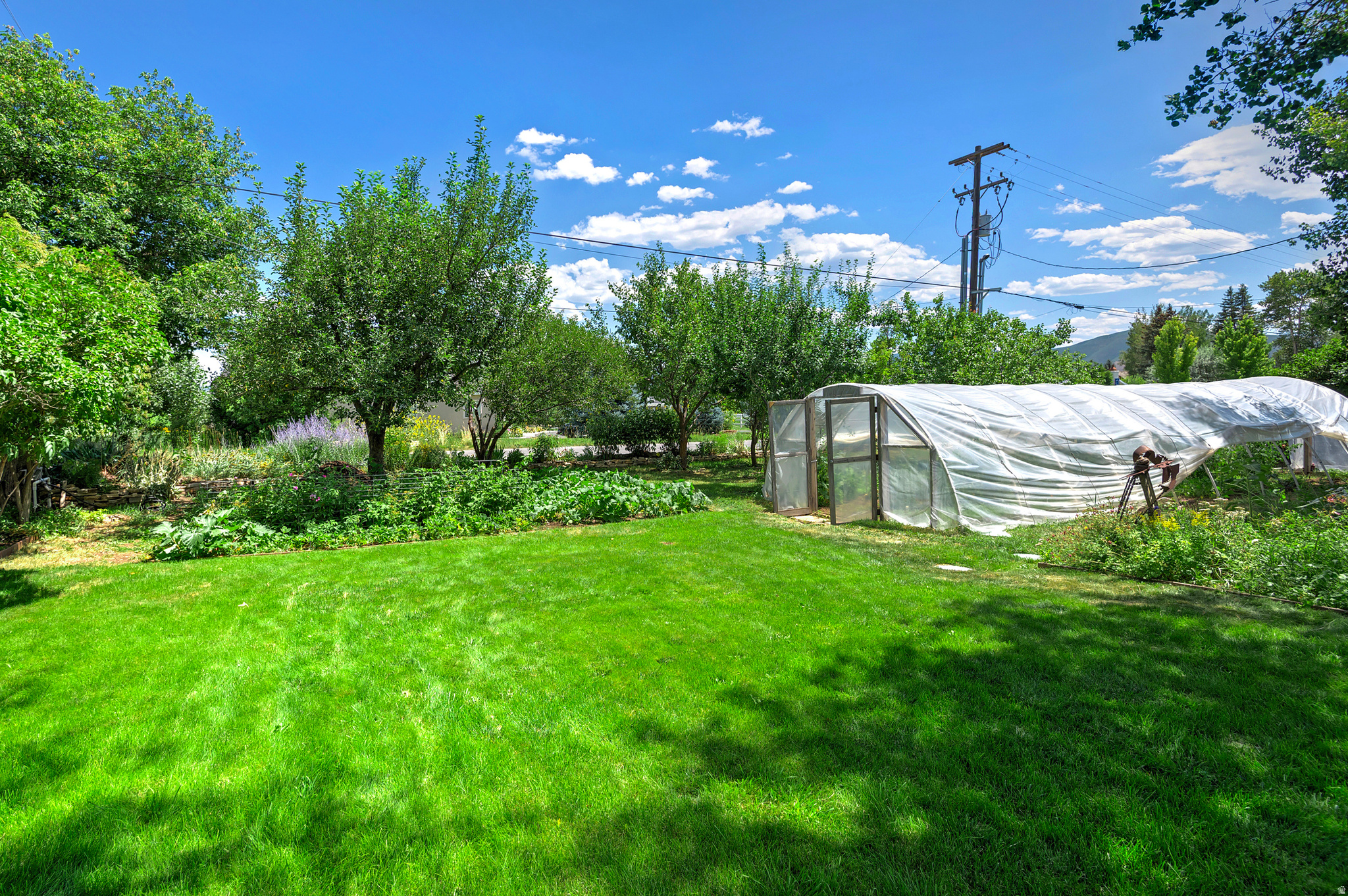 main property photo 79
