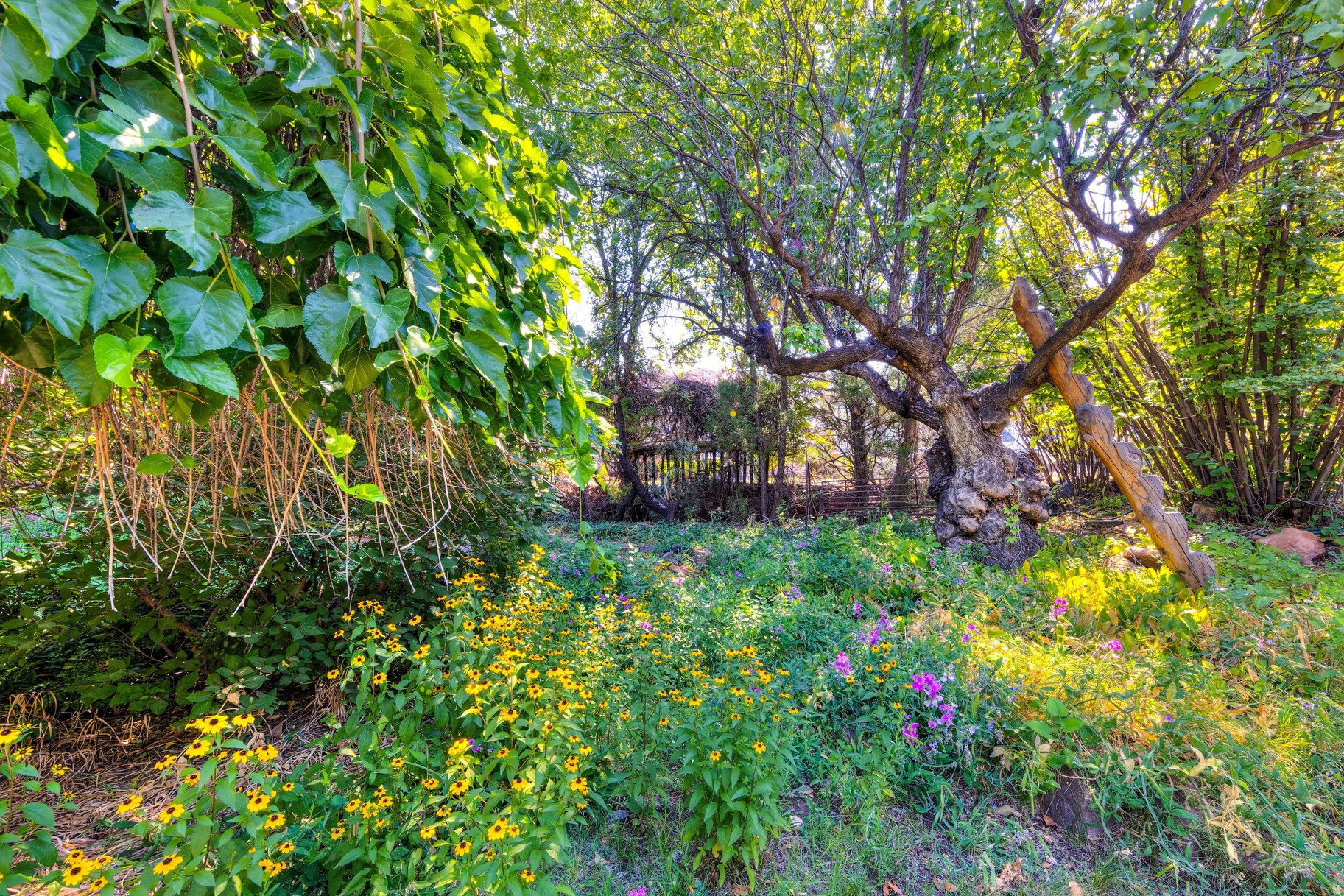 main property photo 16