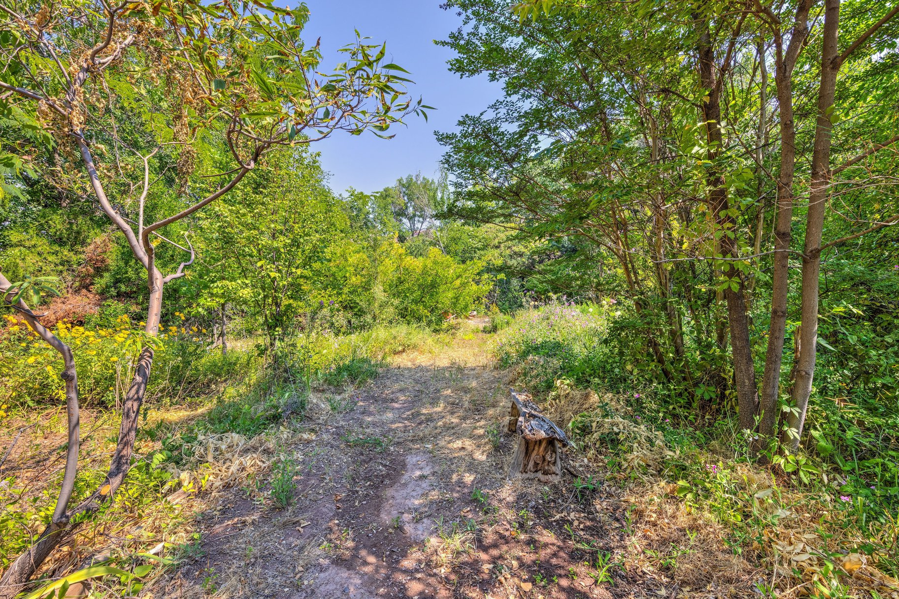 main property photo 20