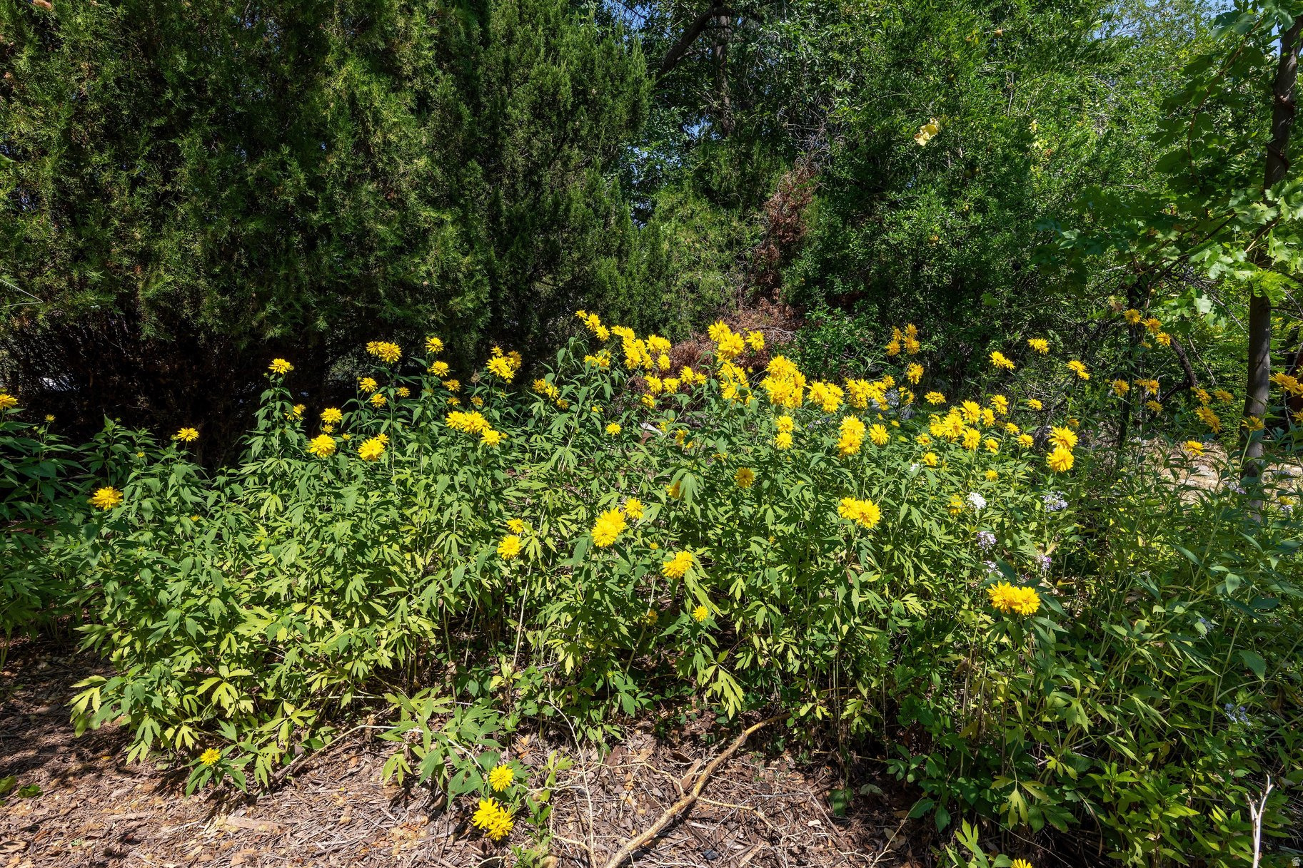 main property photo 21