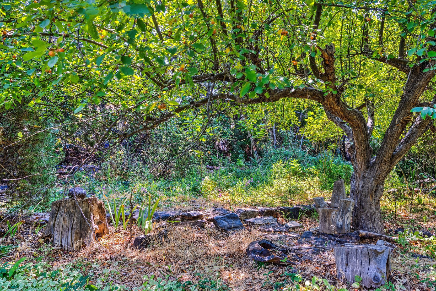 main property photo 22