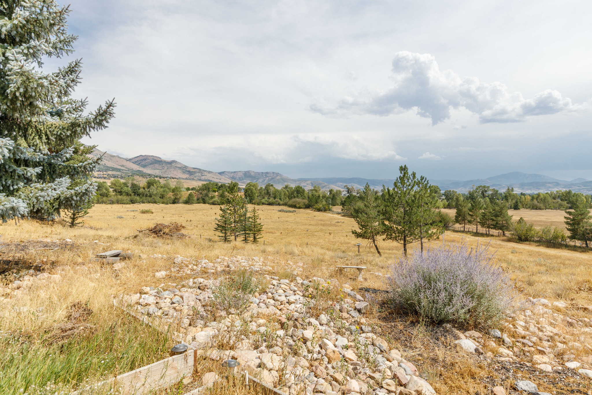 main property photo 51