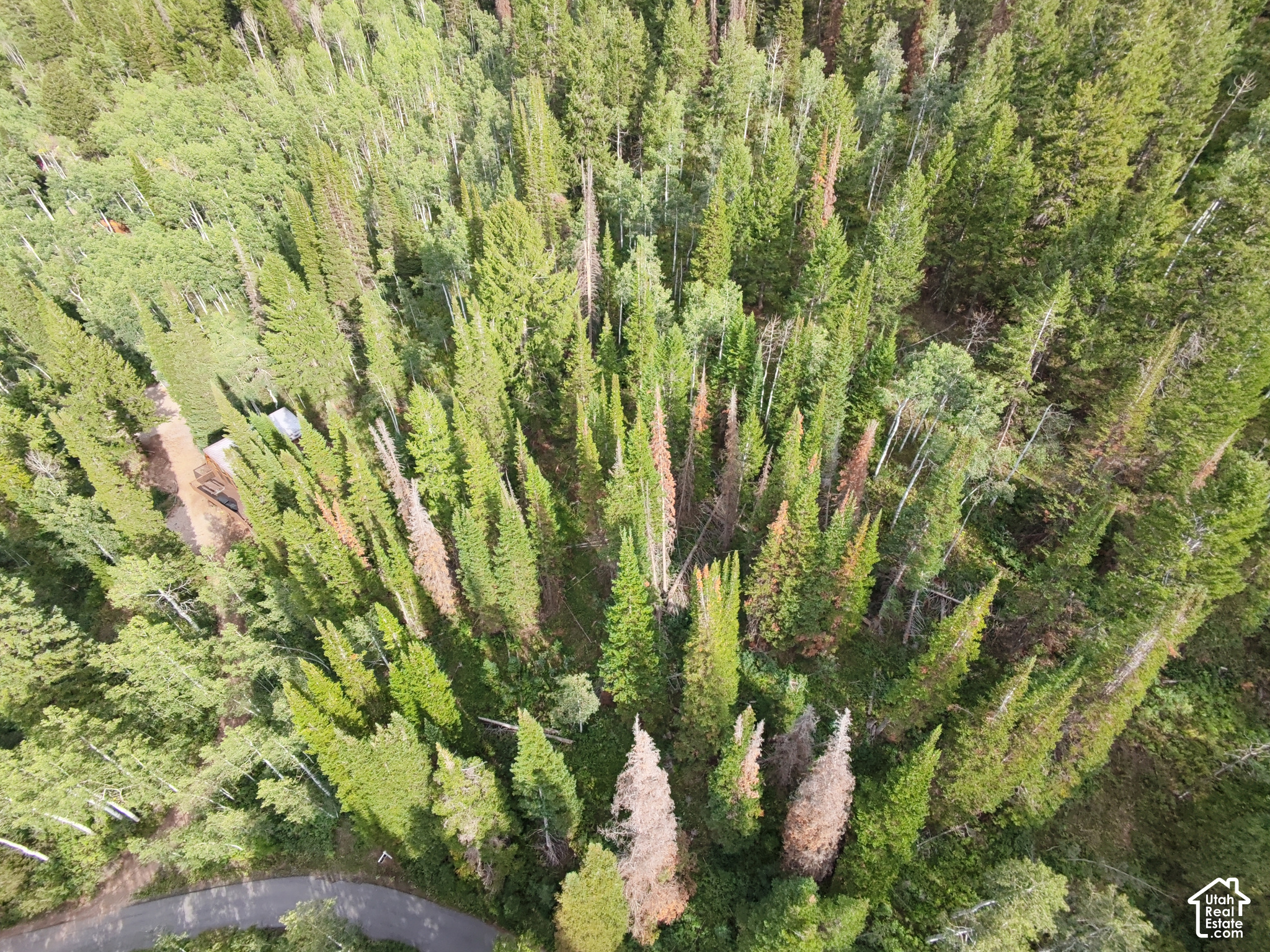 main property photo 20