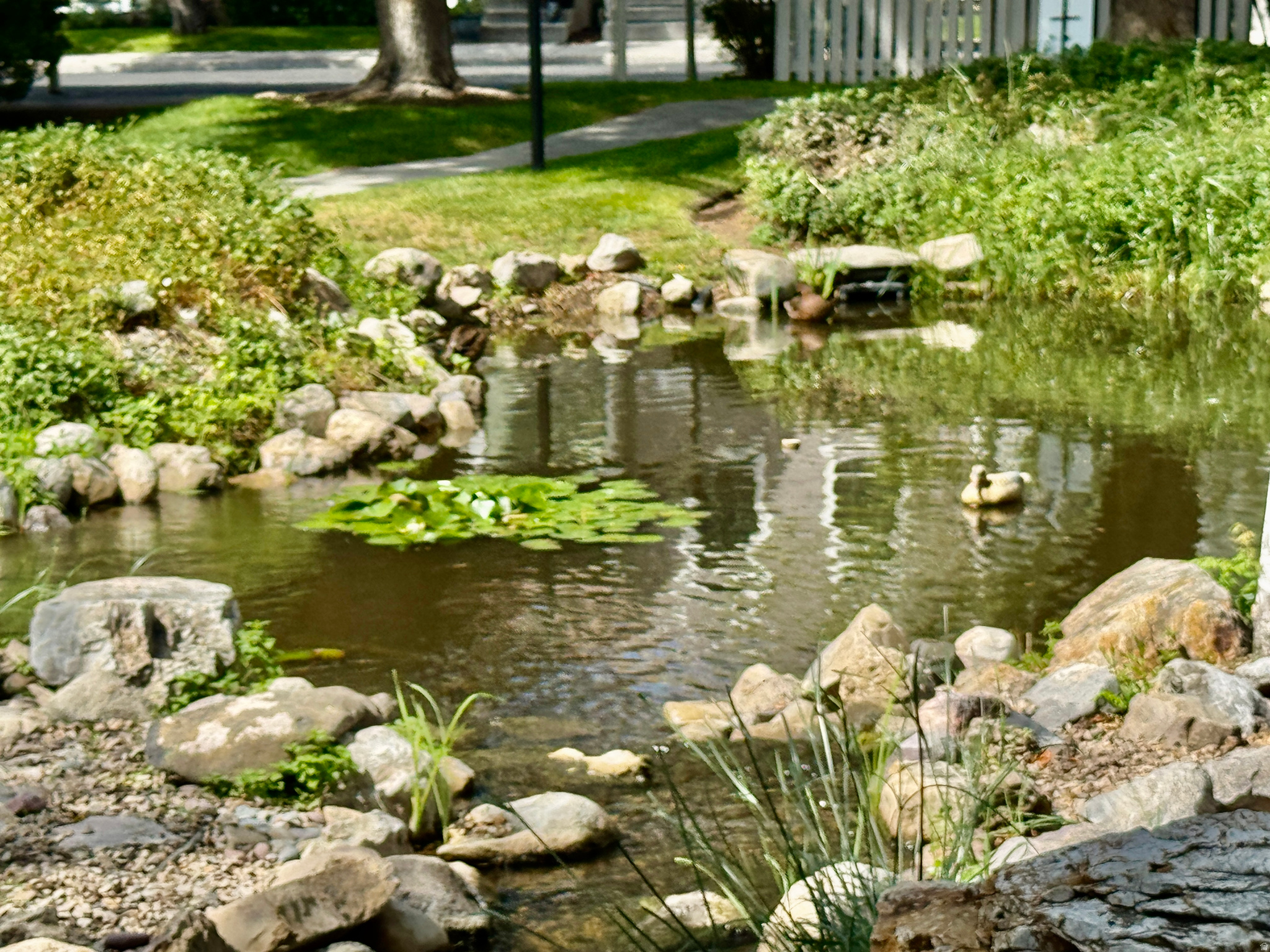 main property photo 23