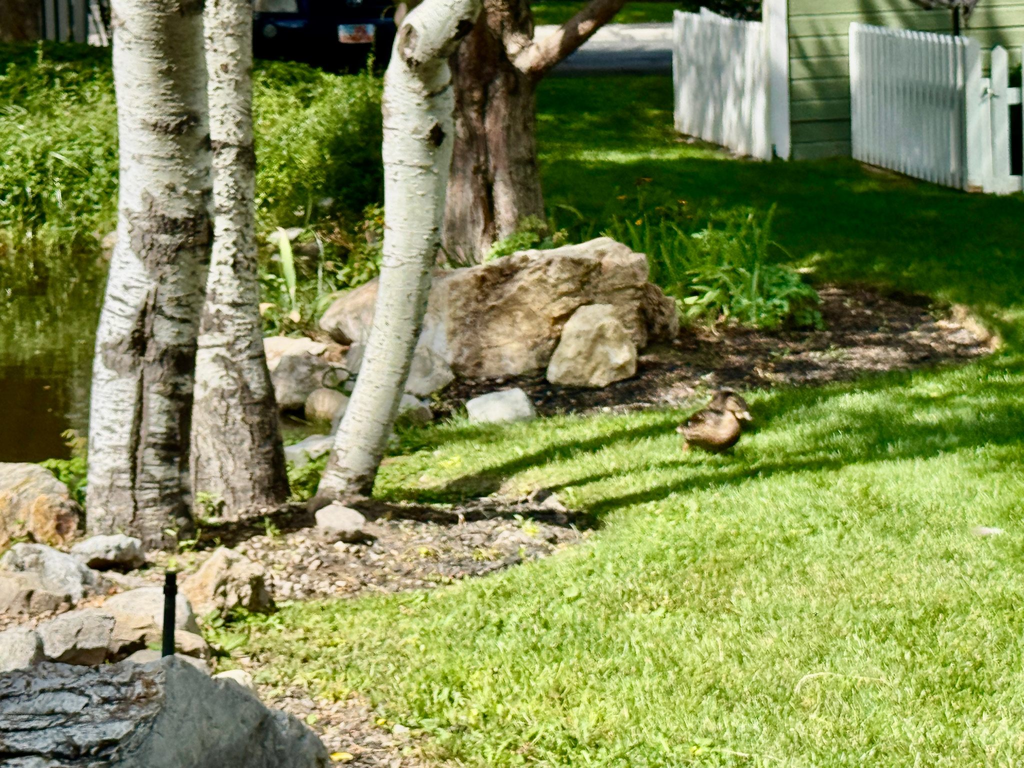 main property photo 24