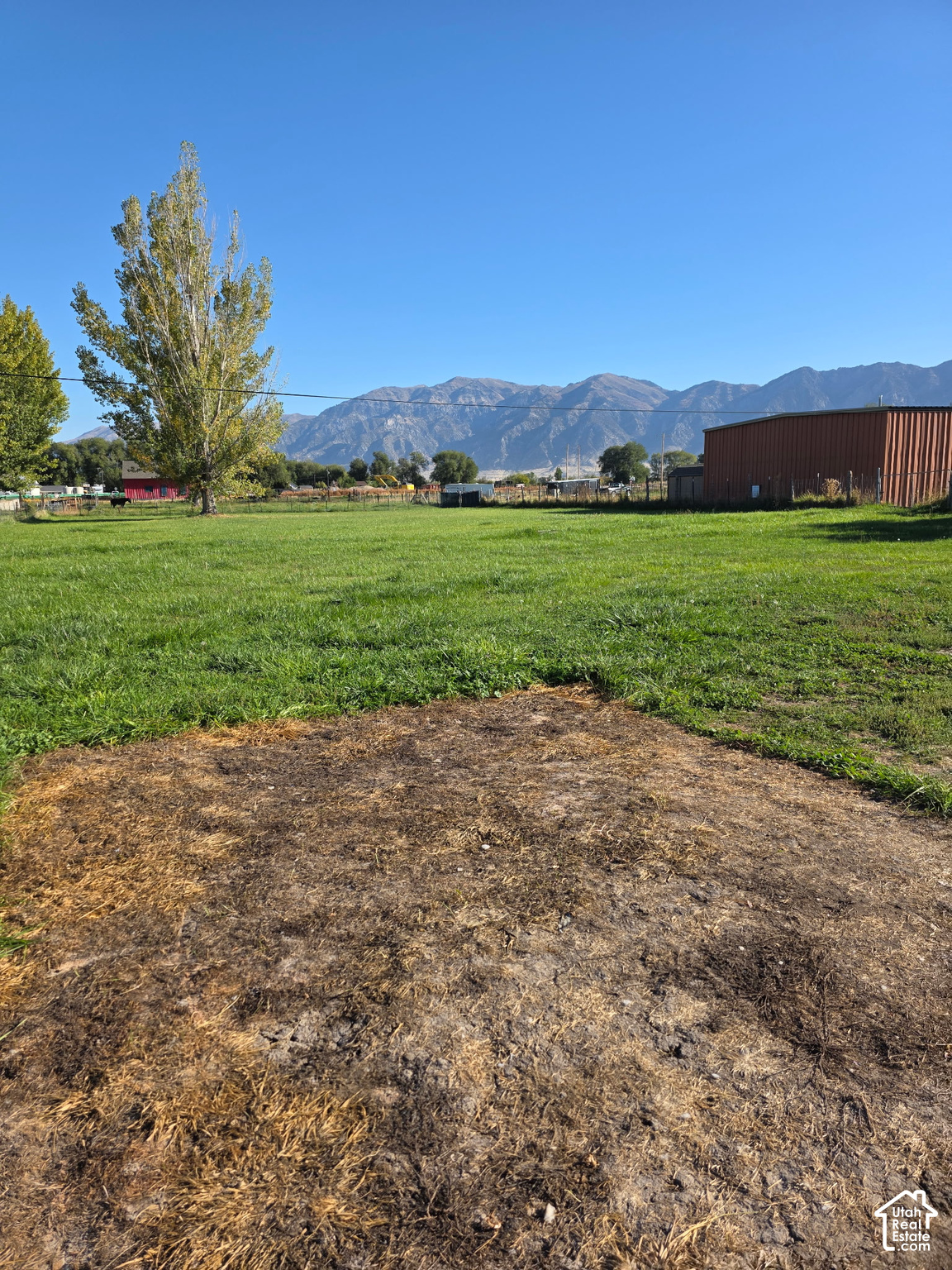main property photo 14