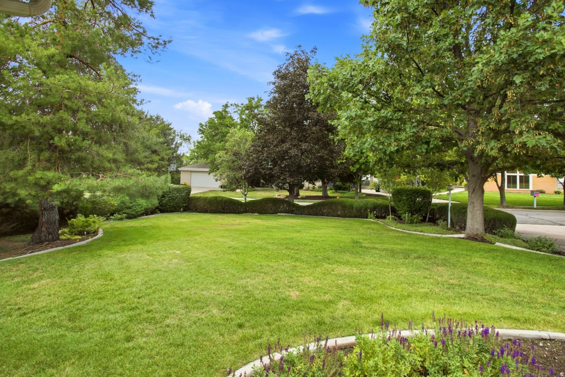 main property photo 58