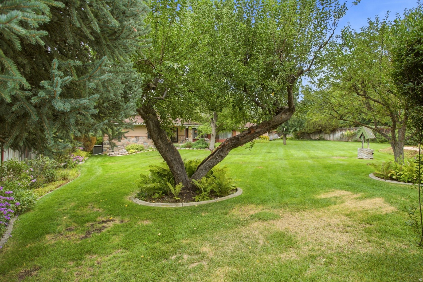main property photo 81