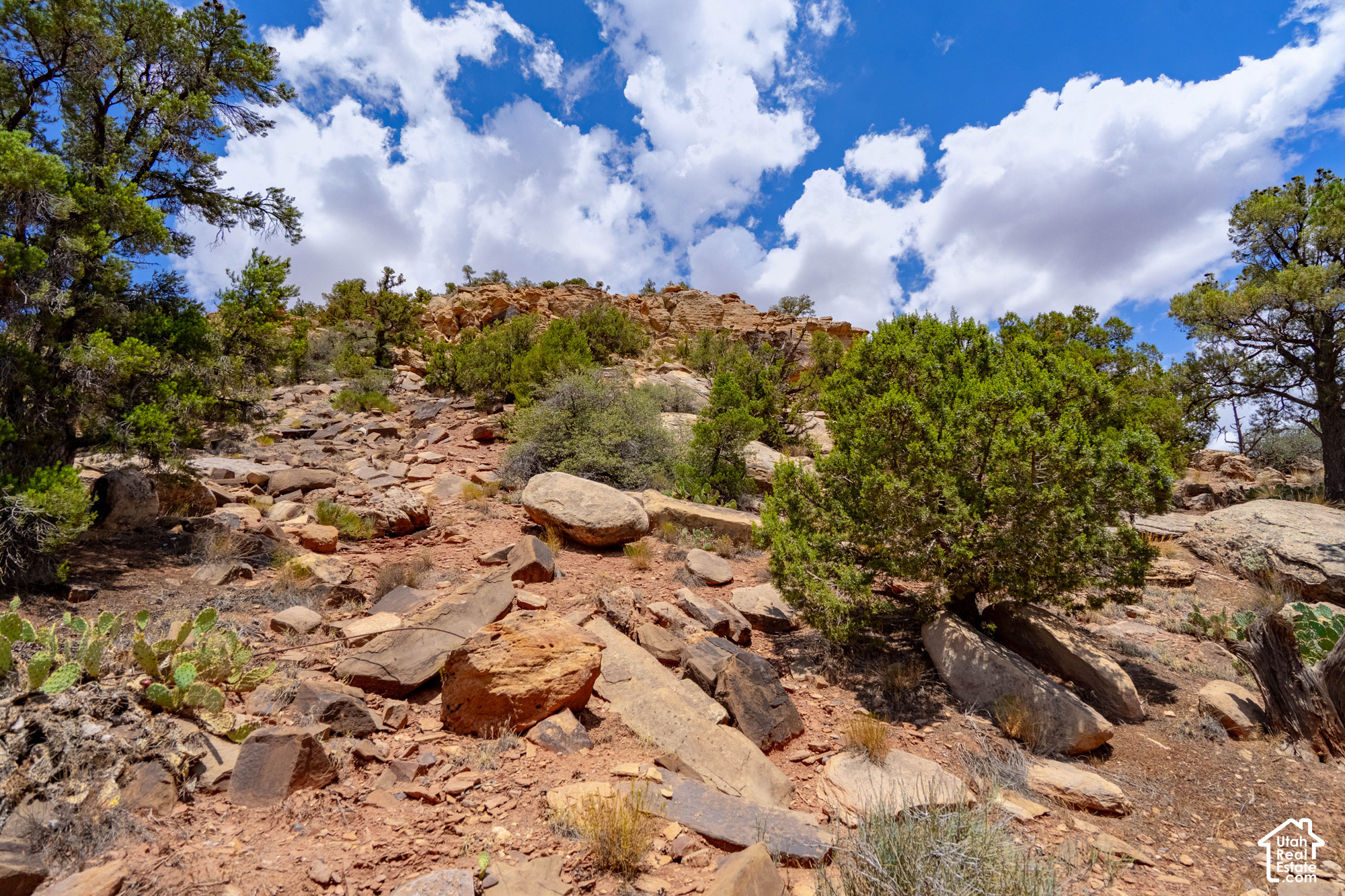main property photo 98