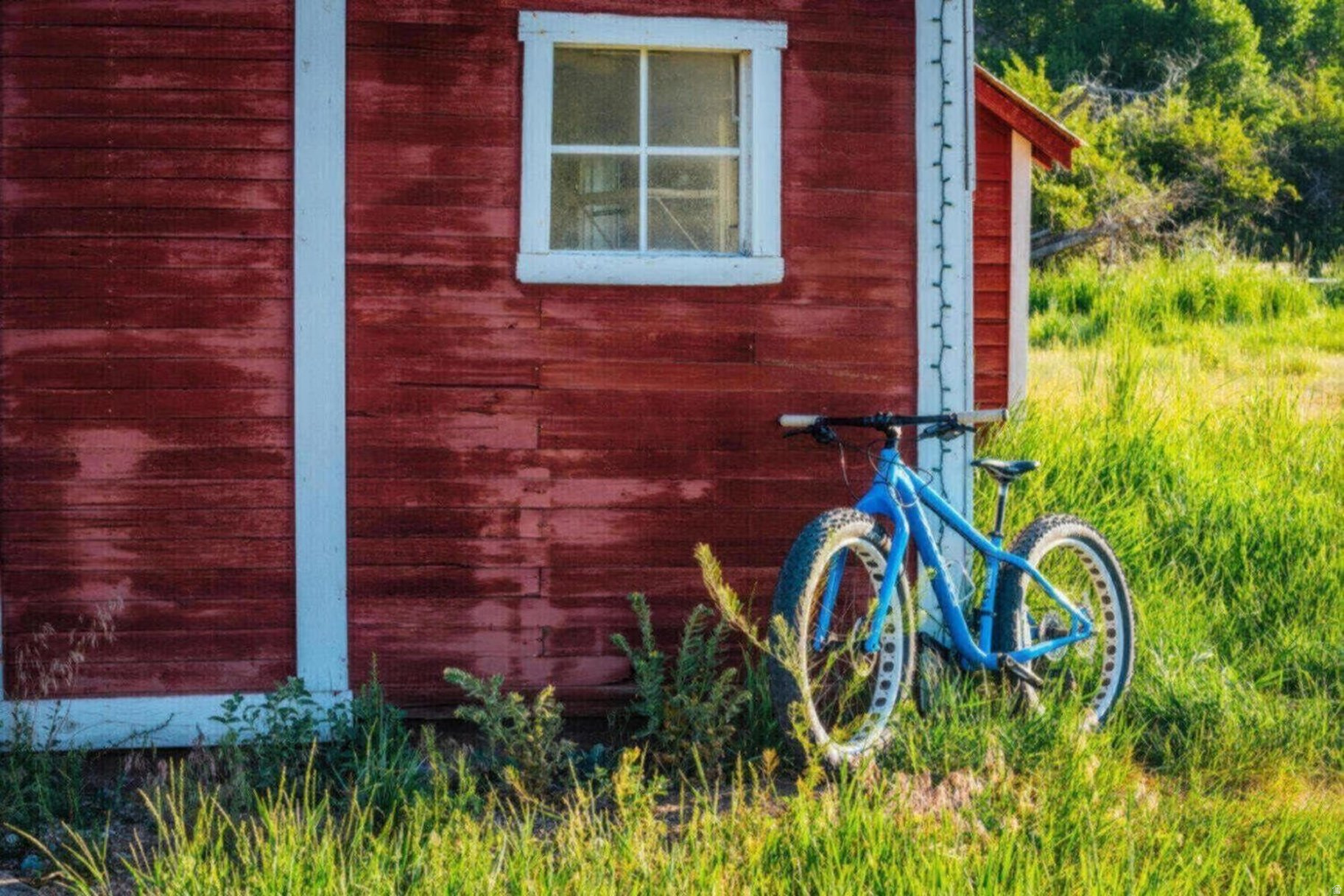 main property photo 39