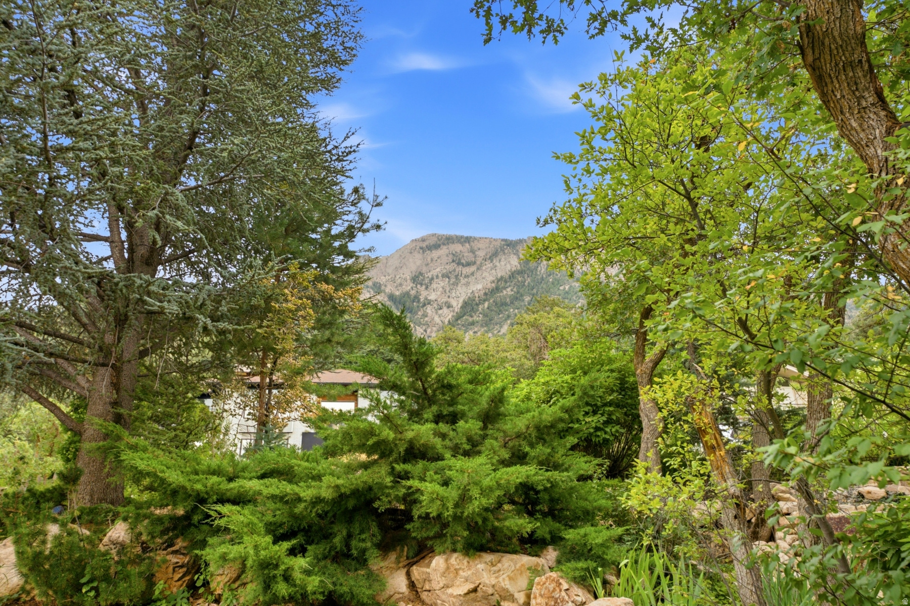 main property photo 84