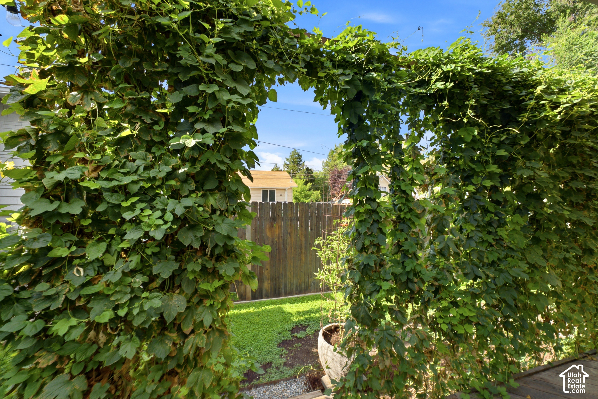 main property photo 55