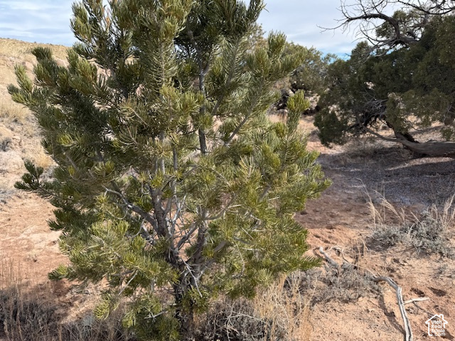 main property photo 16