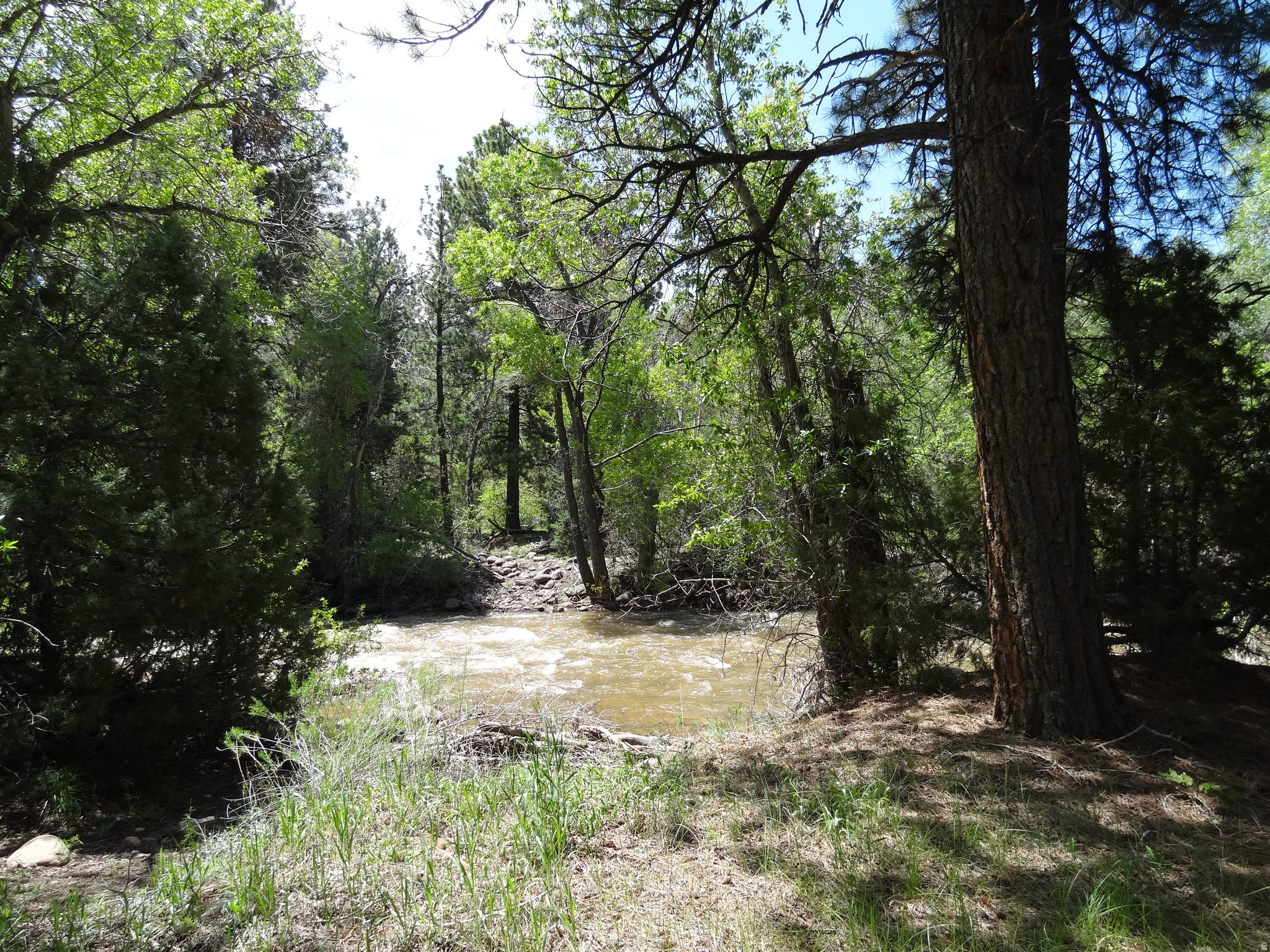 main property photo 10