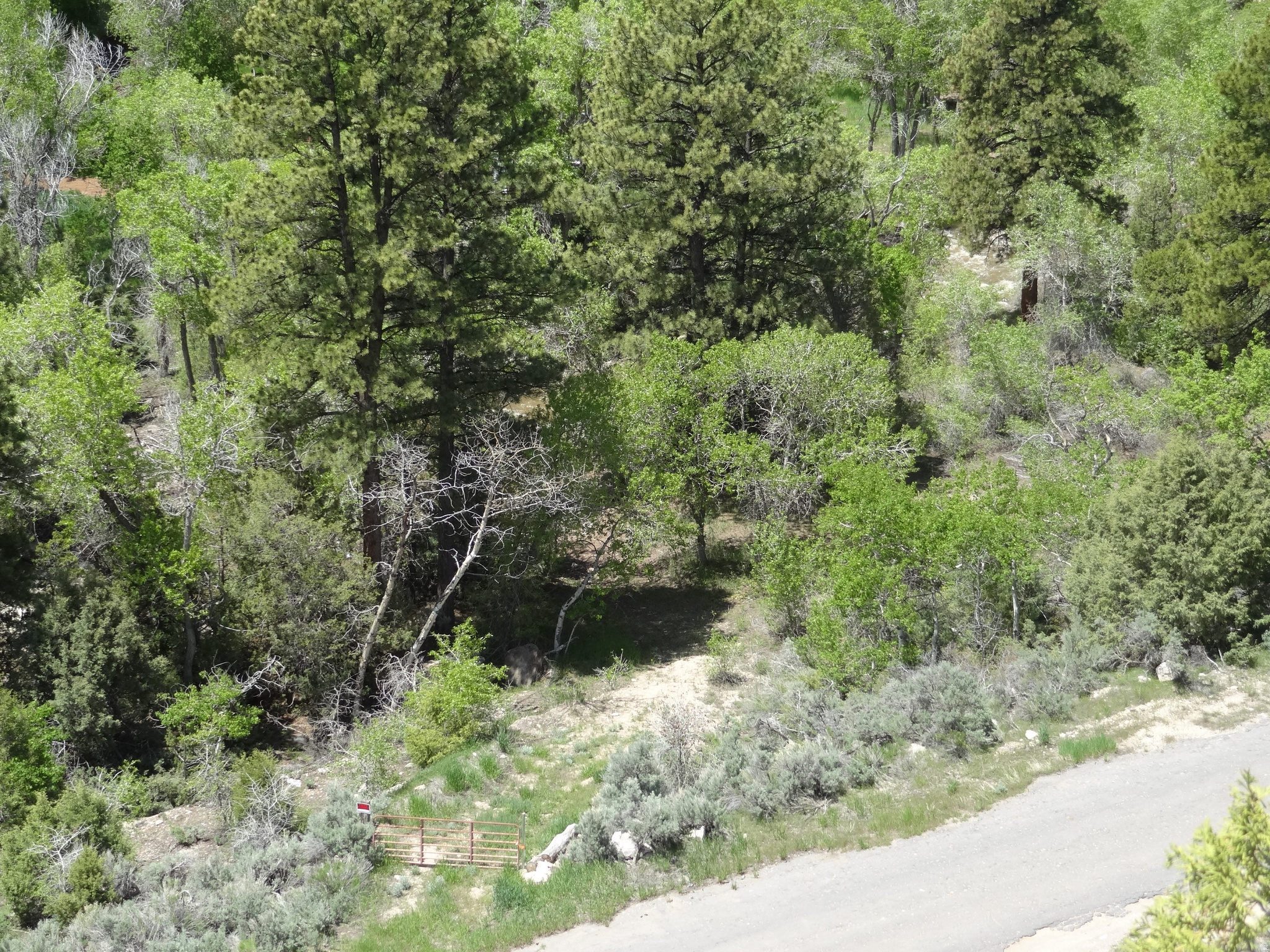 main property photo 11