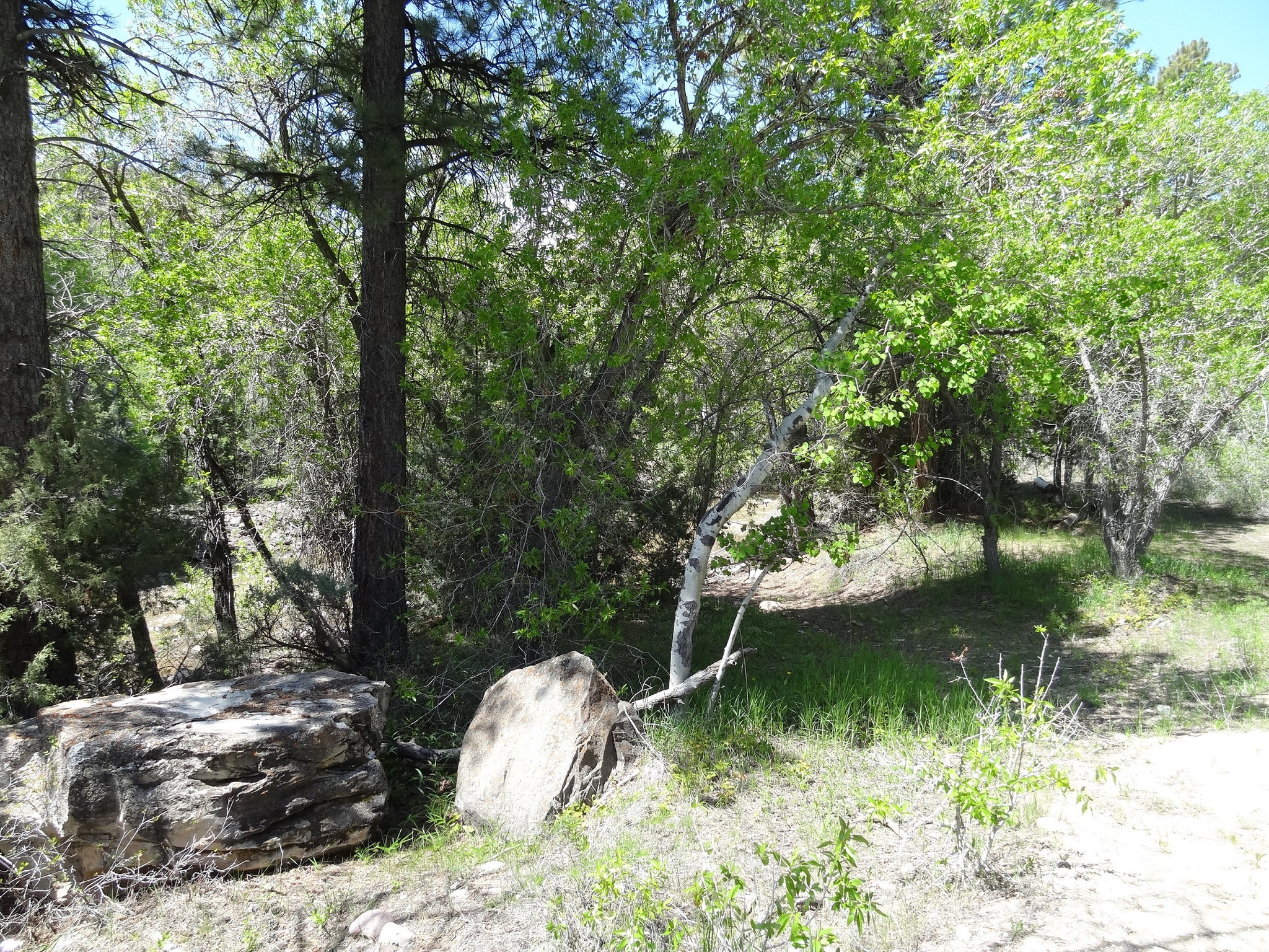 main property photo 4