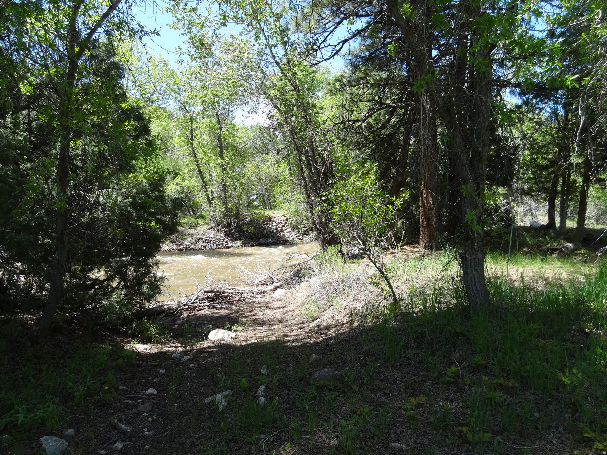 main property photo 5