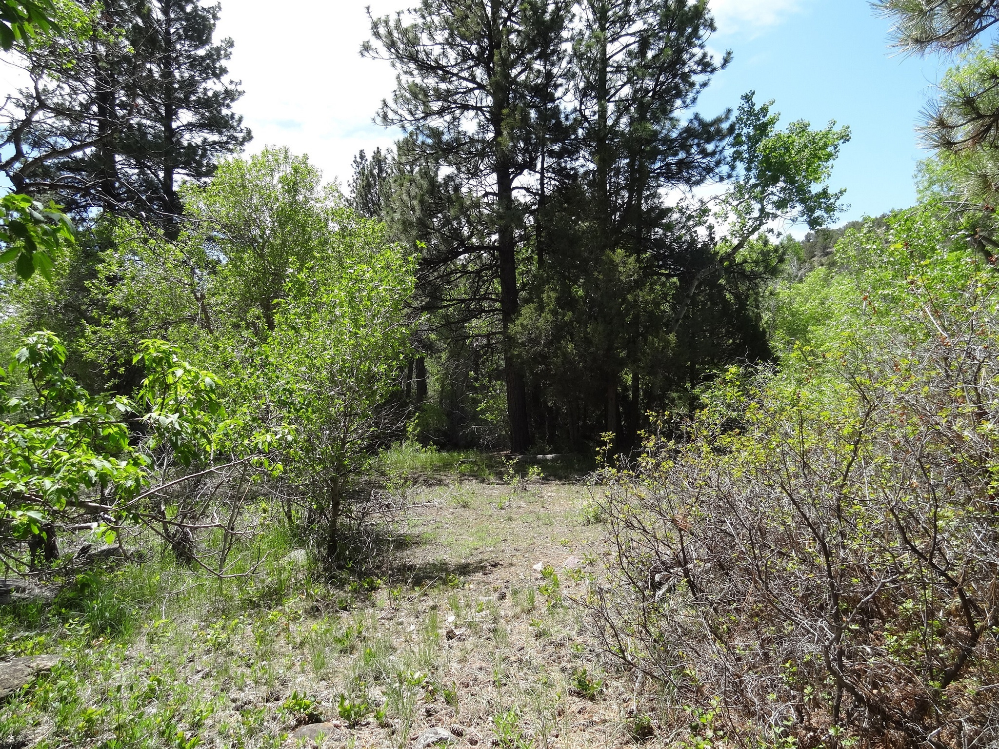 main property photo 8