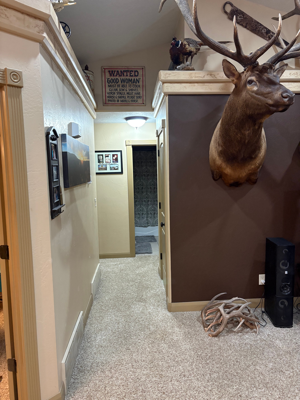 main property photo 57