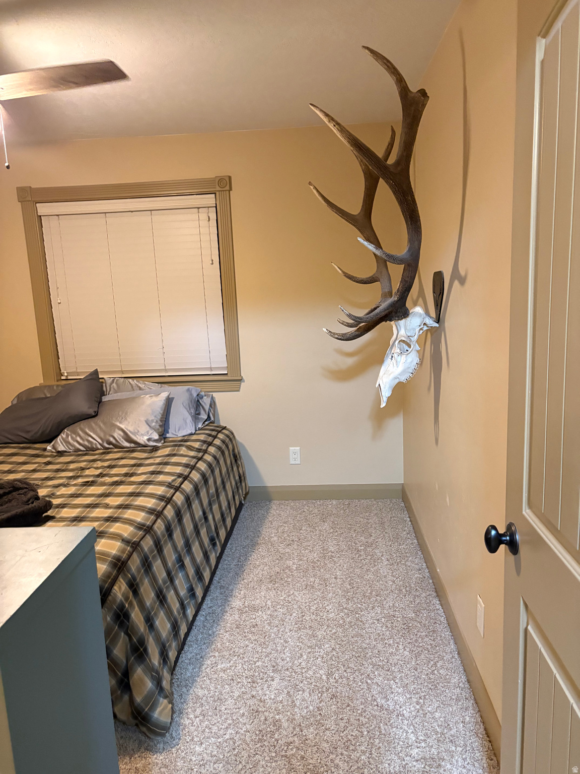 main property photo 63