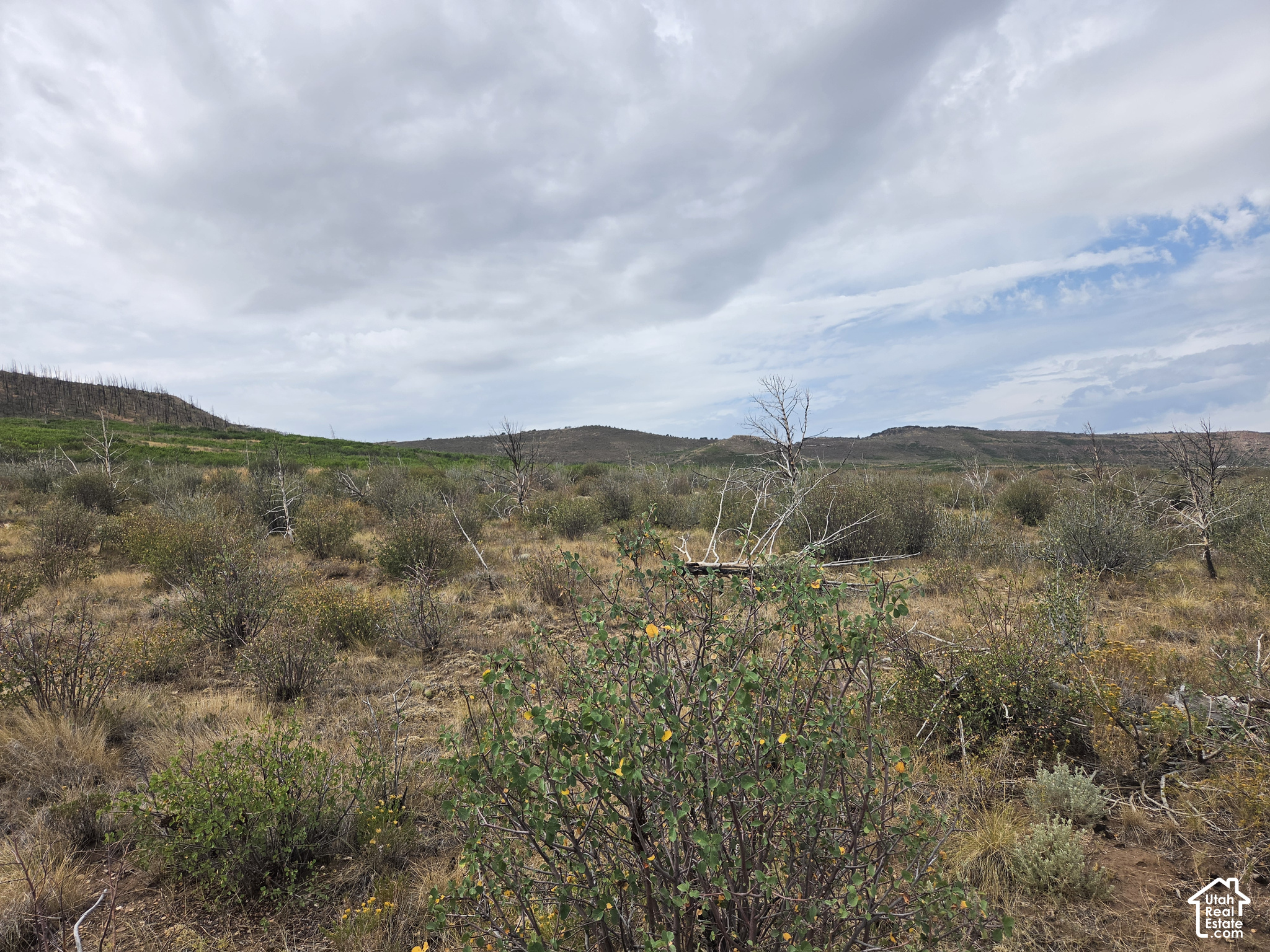 main property photo 12